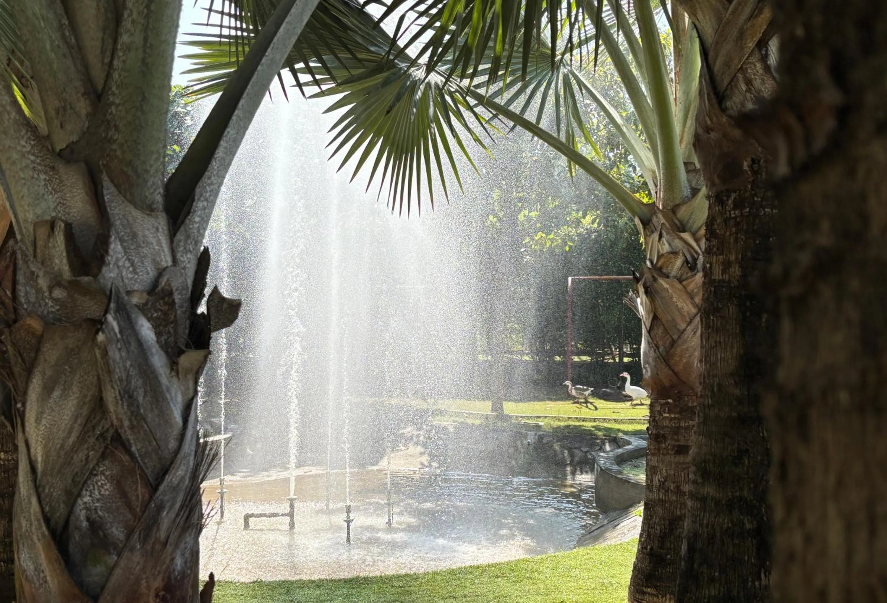 Resort De Coracao - Corbett , Uttarakhand