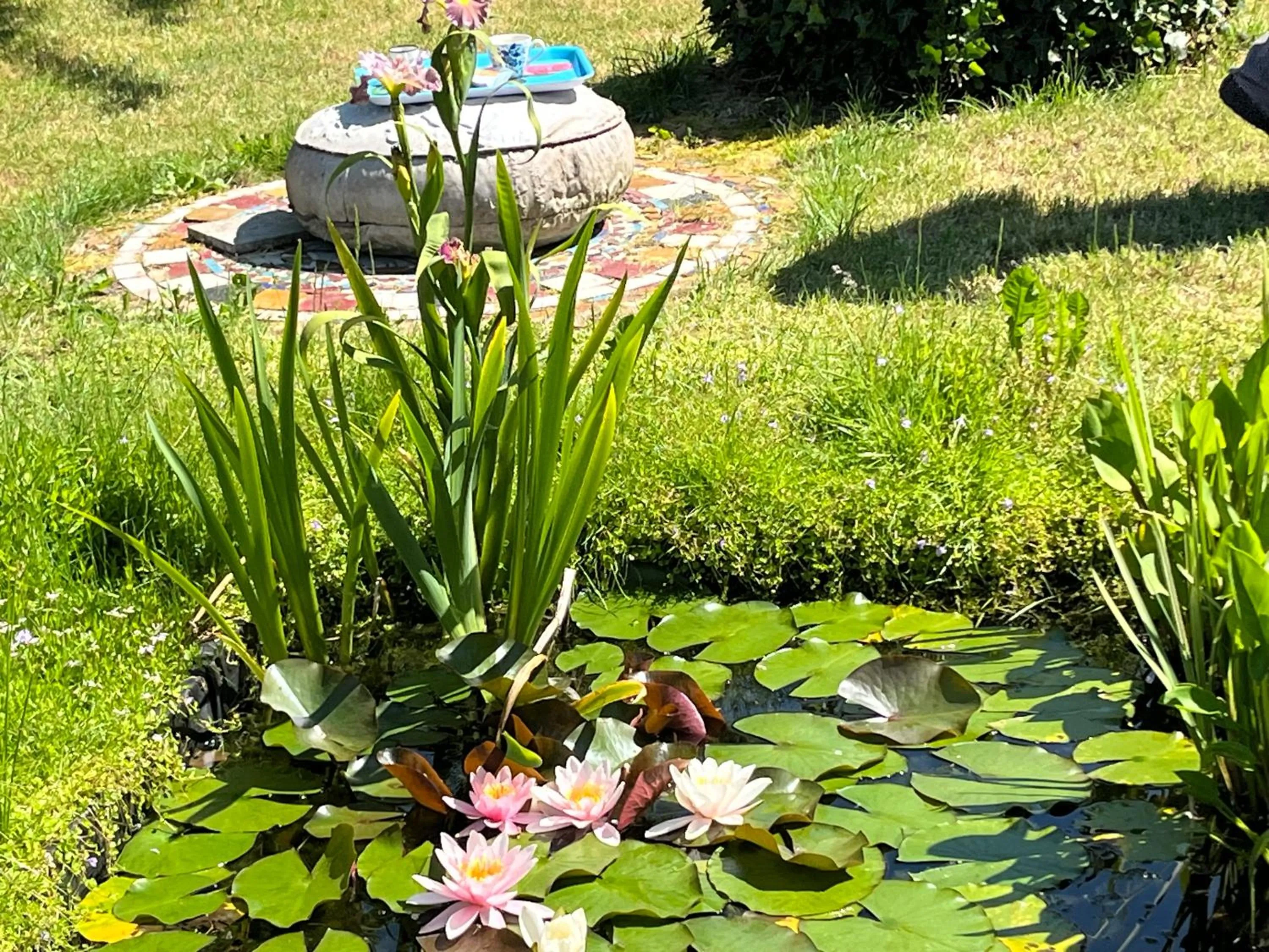 Lunafragola Atelier B&B