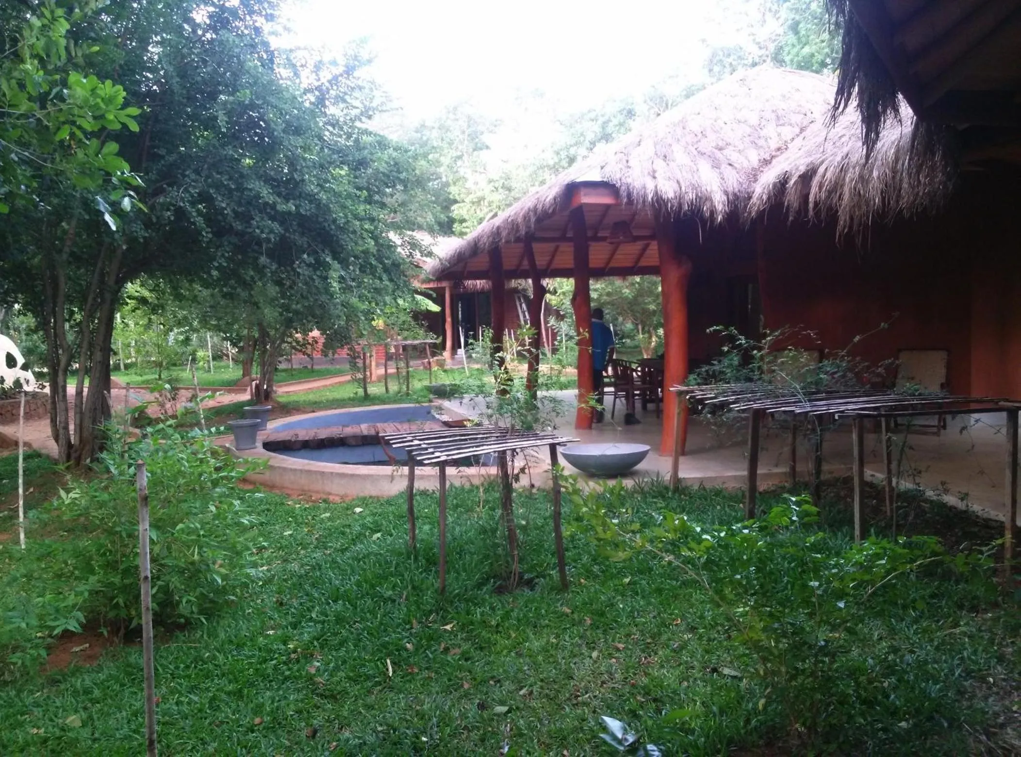 Garden in Kuwera Eco Lodge