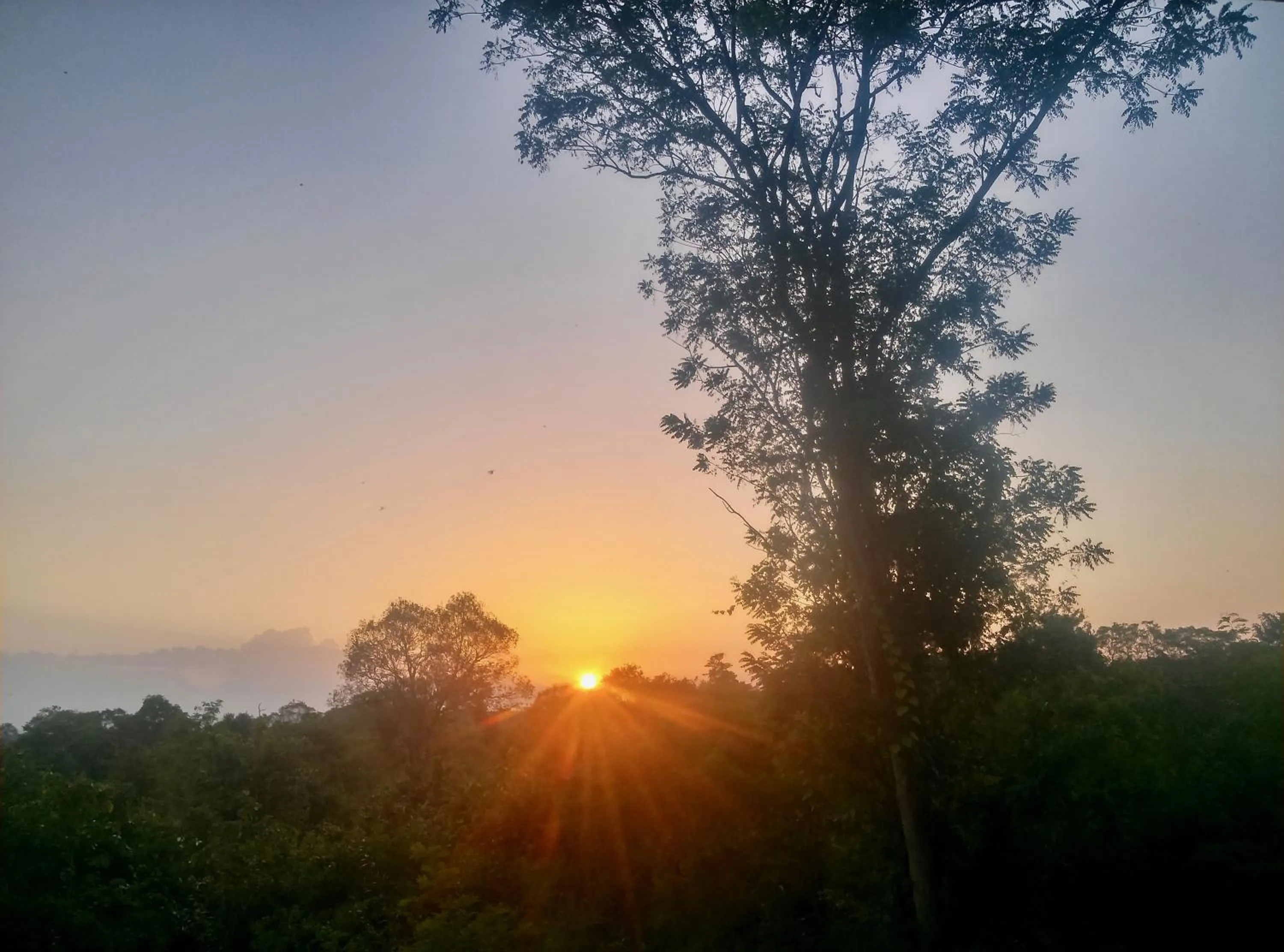 Natural landscape in Kuwera Eco Lodge