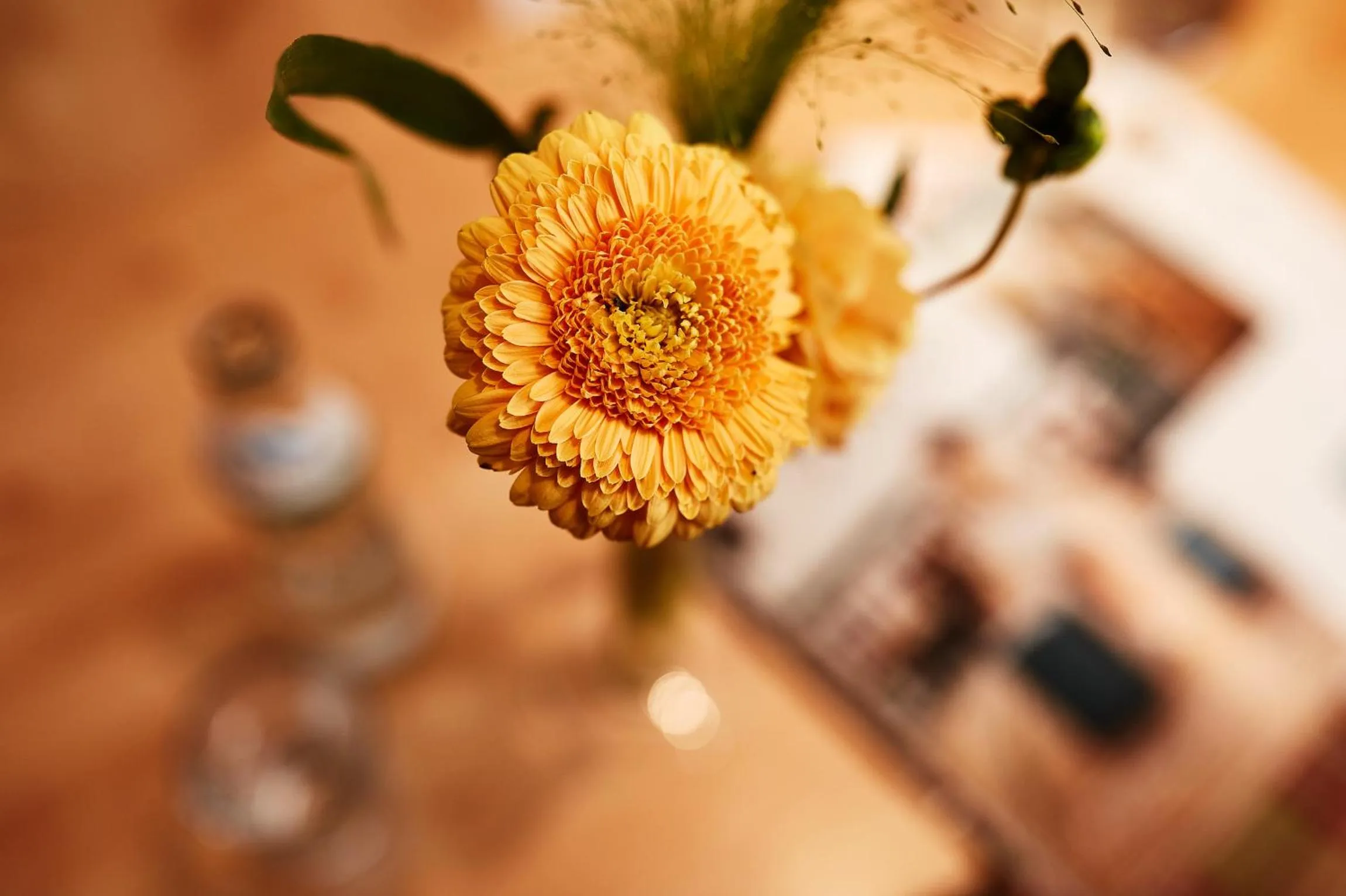 Decorative detail in Donauhotel Lettnerhof