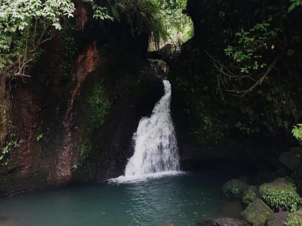 Kembang Kuning Cottages