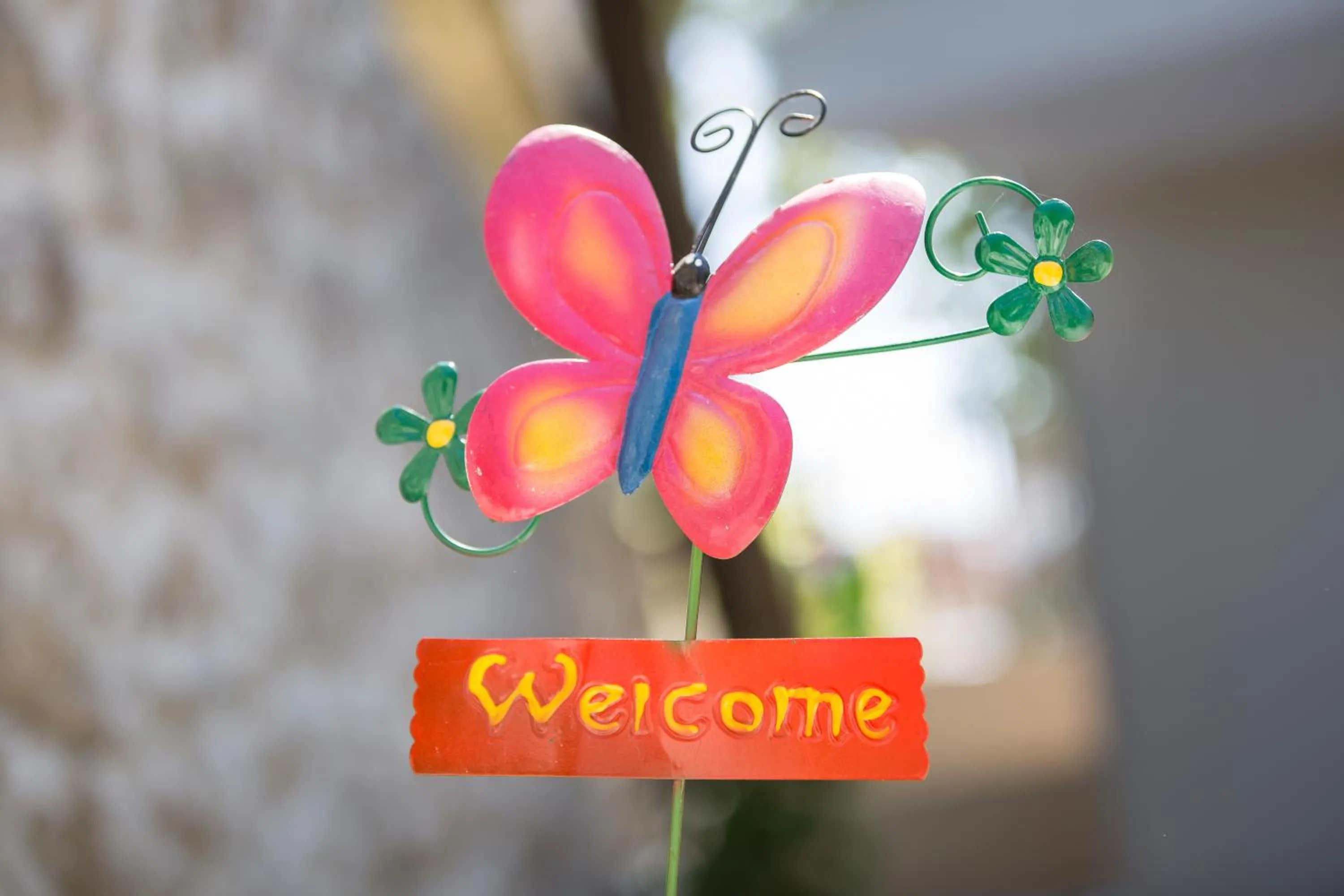 Patio in Pegasus Rooms