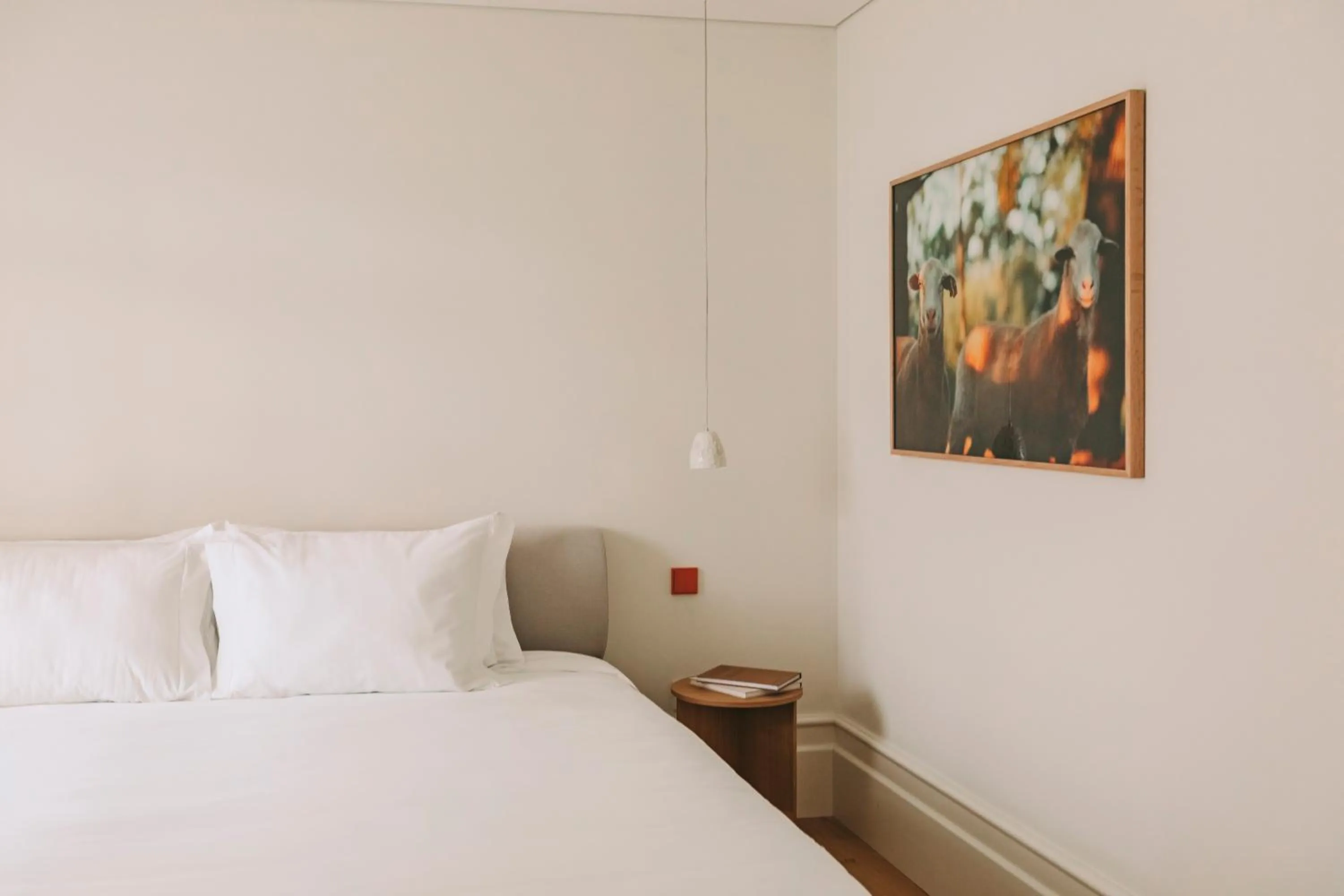 Decorative detail, Bed in LENSCAPE Coterie