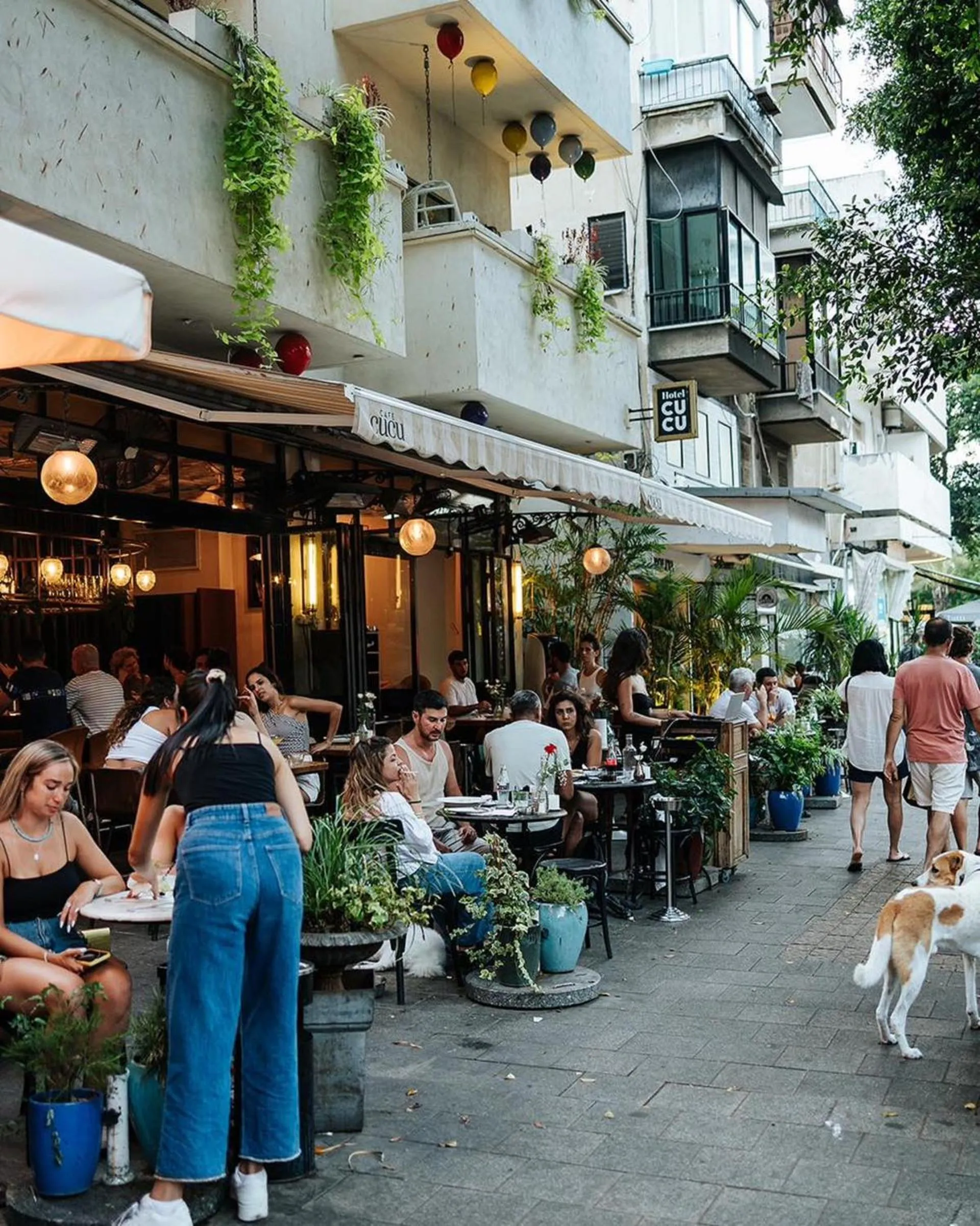 Property building in Cucu Hotel