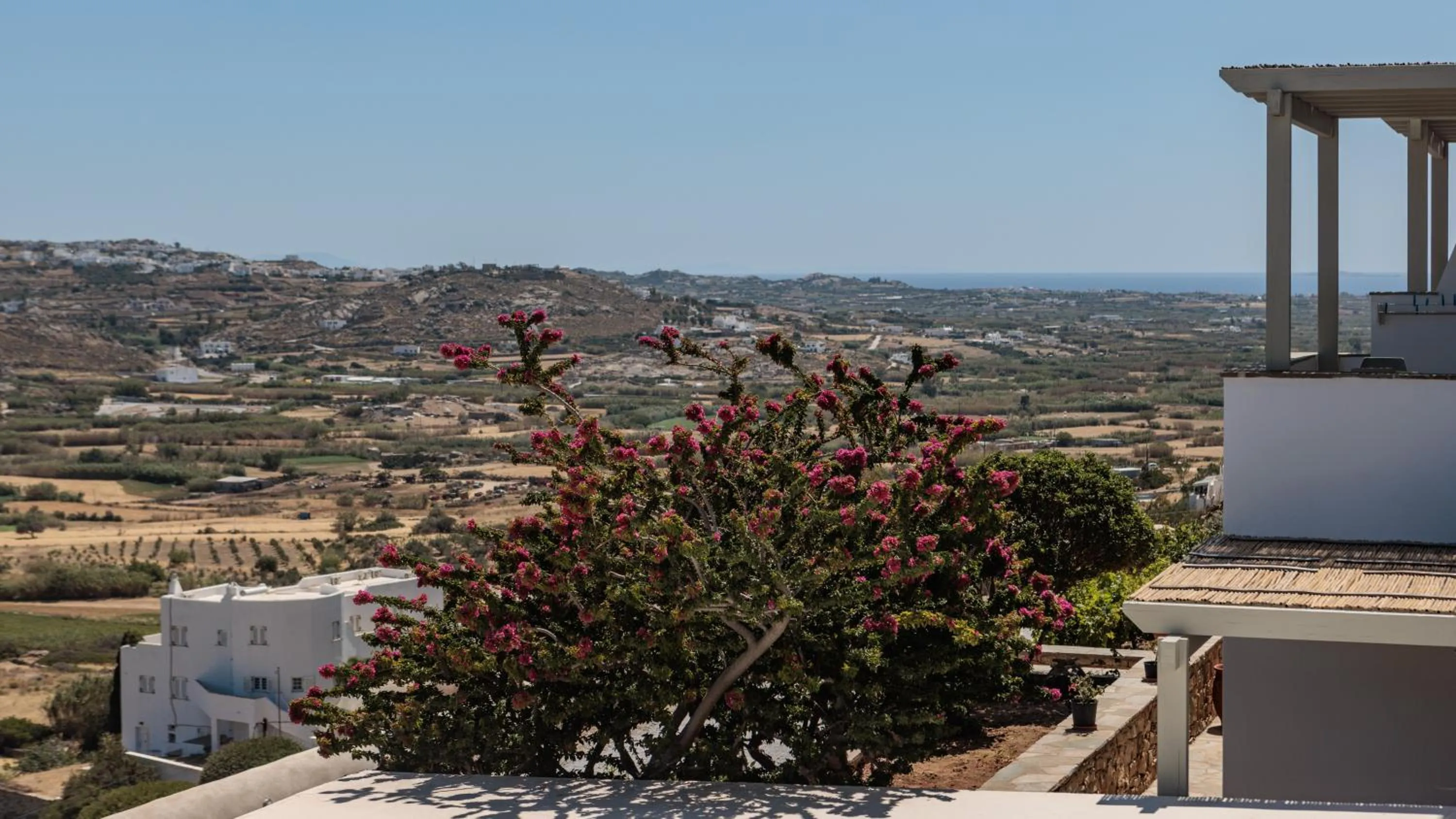 View (from property/room) in Halcyon Suites and Villas Naxos