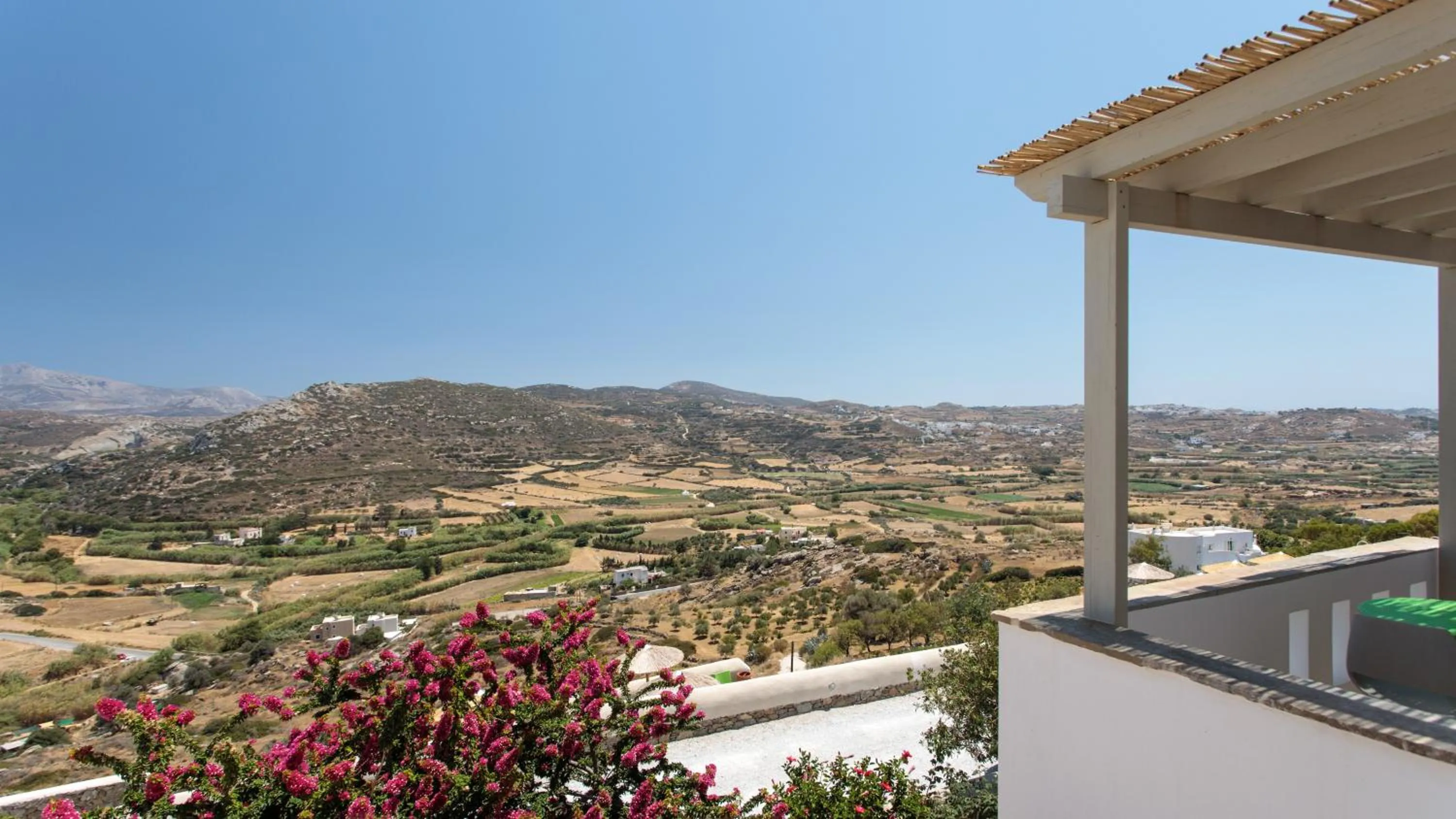 Garden view in Halcyon Suites and Villas Naxos