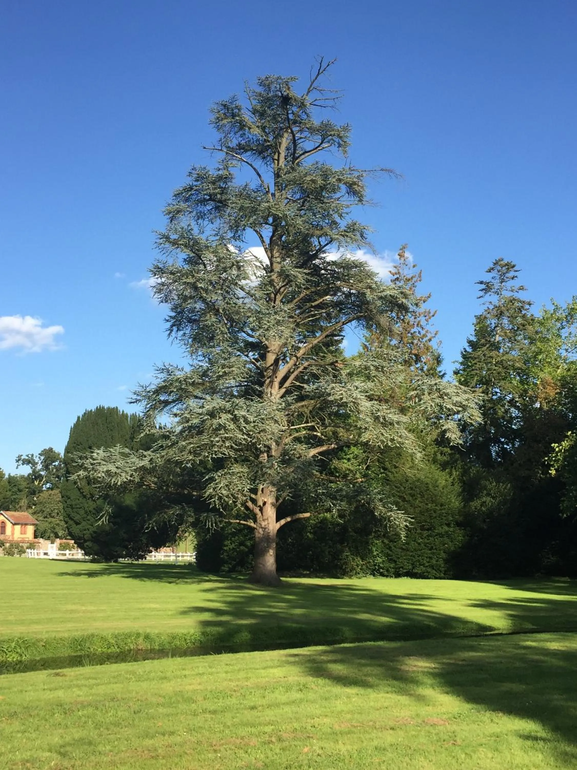 Le Manoir de Bénédicte B&B