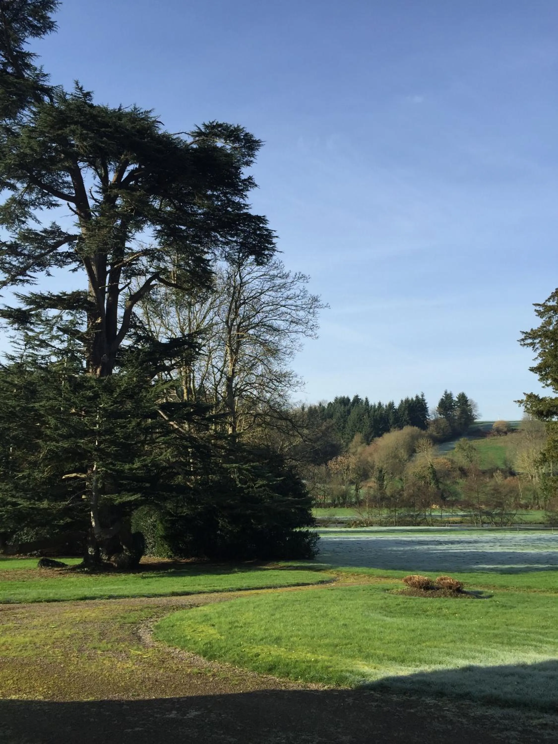 Garden view in Le Manoir de Bénédicte B&B