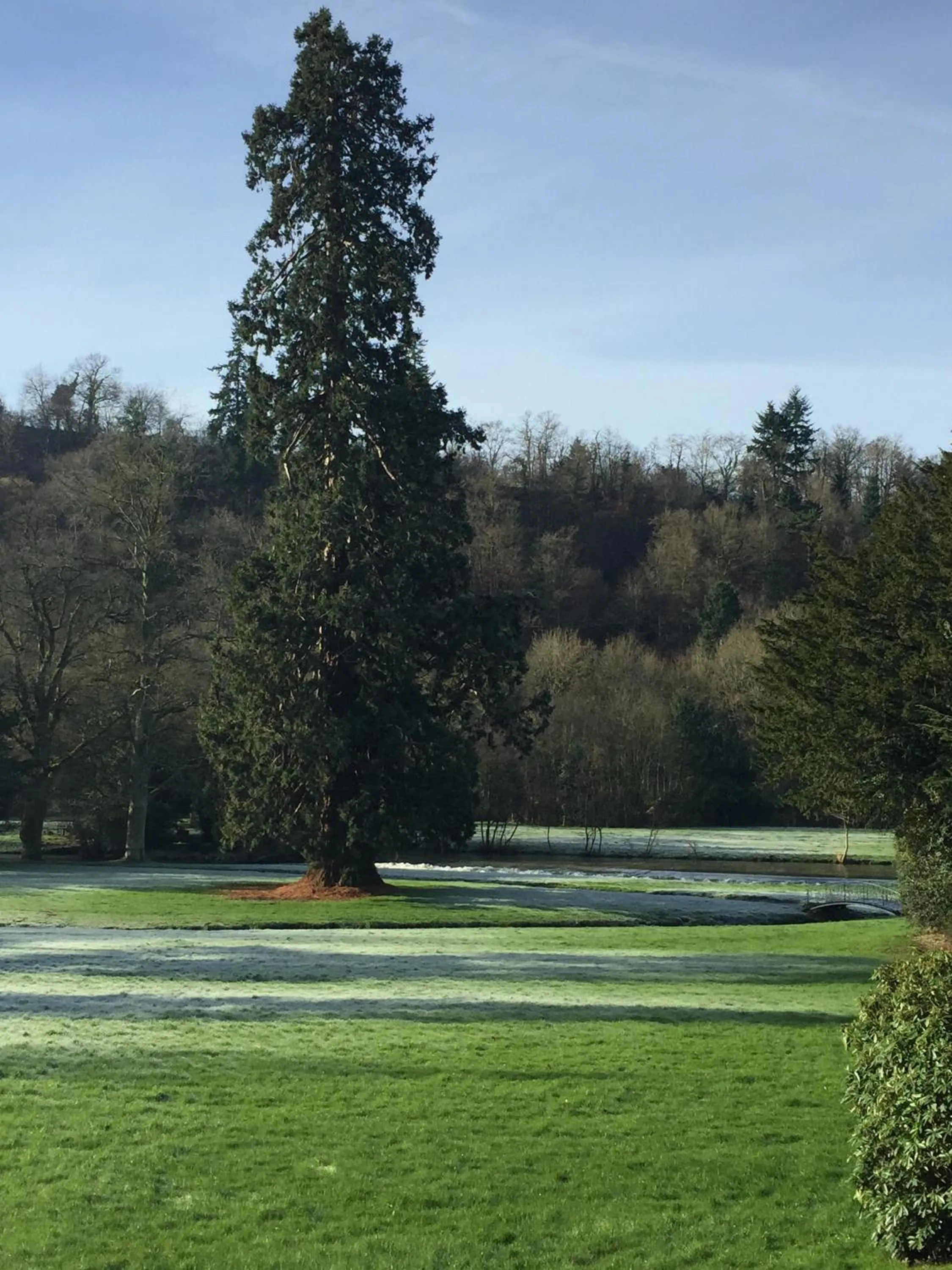 Garden in Le Manoir de Bénédicte B&B