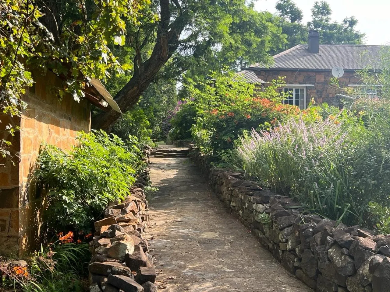 Garden view in Wyford Farm
