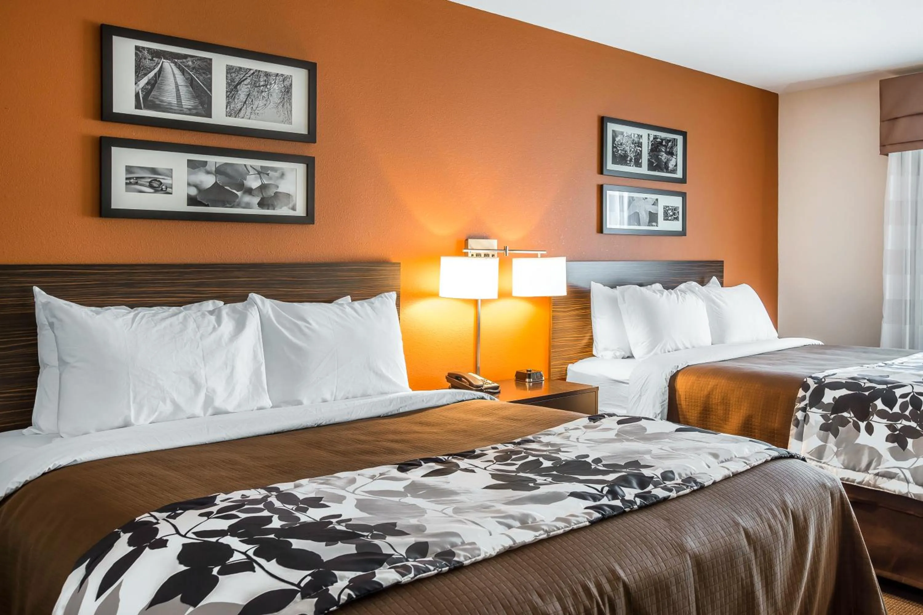 Photo of the whole room, Bed in Sleep Inn Cartersville