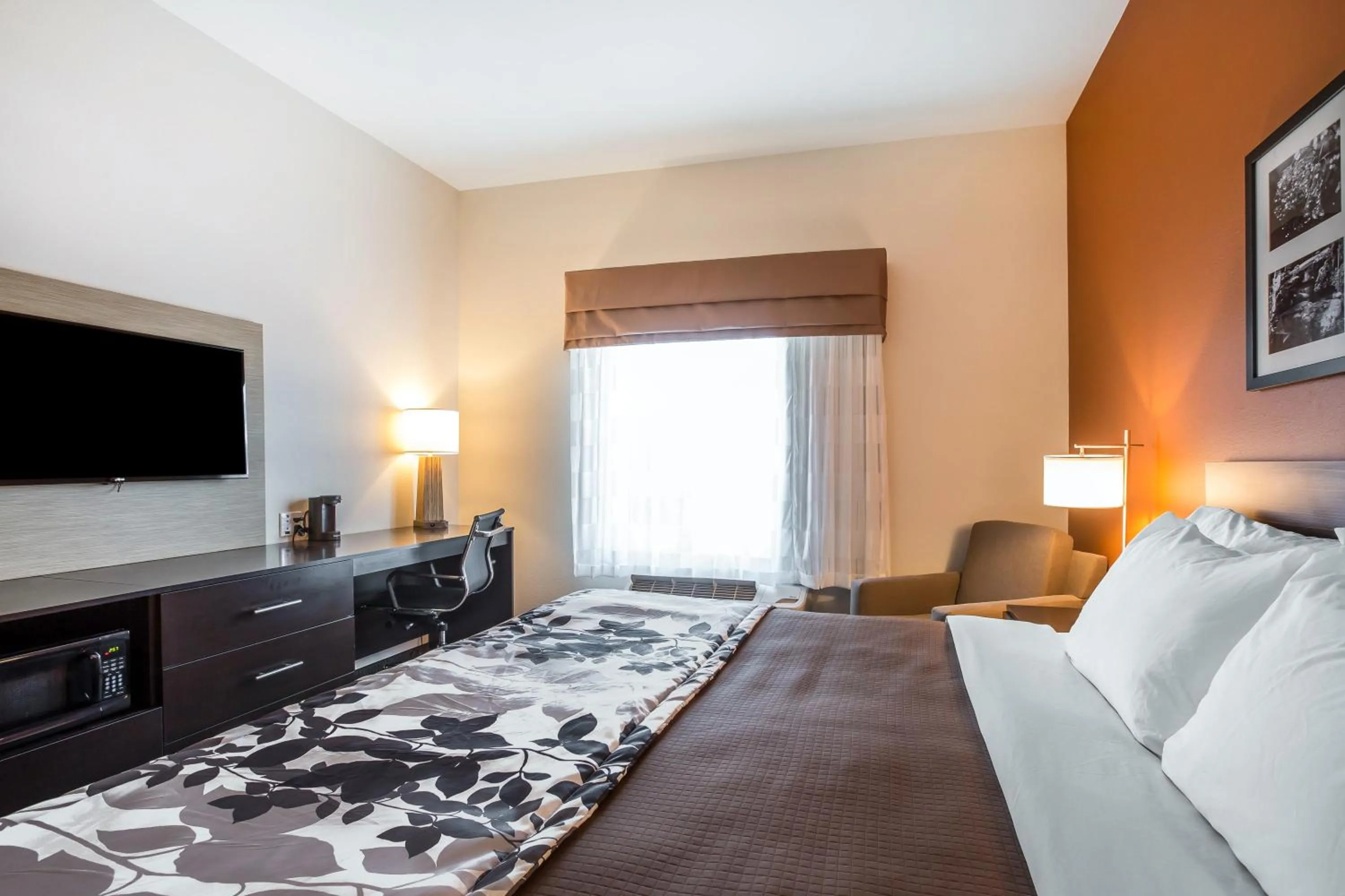 Photo of the whole room, Bed in Sleep Inn Cartersville