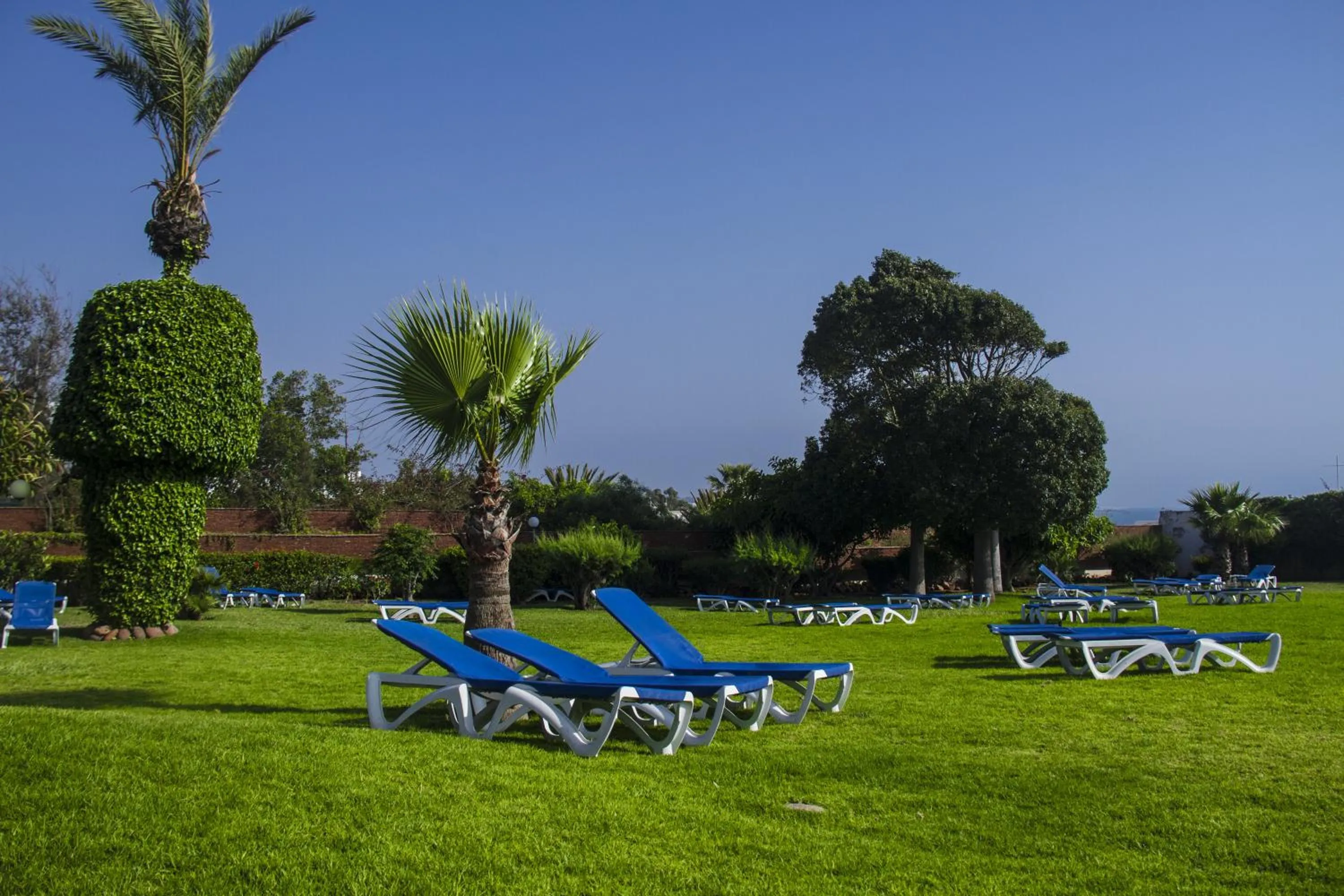 Garden in Anezi Apartments