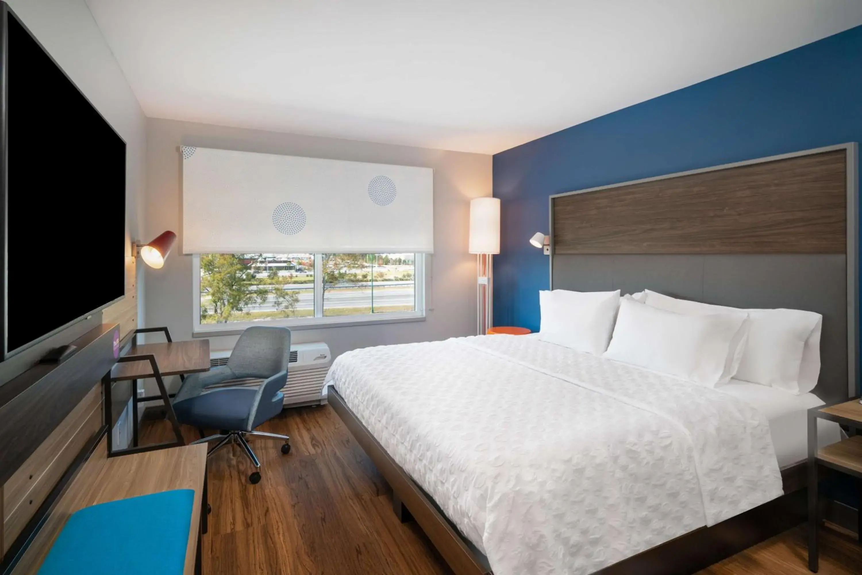 King Room in Tru By Hilton Savannah Airport King Room in Tru By Hilton Savannah Airport