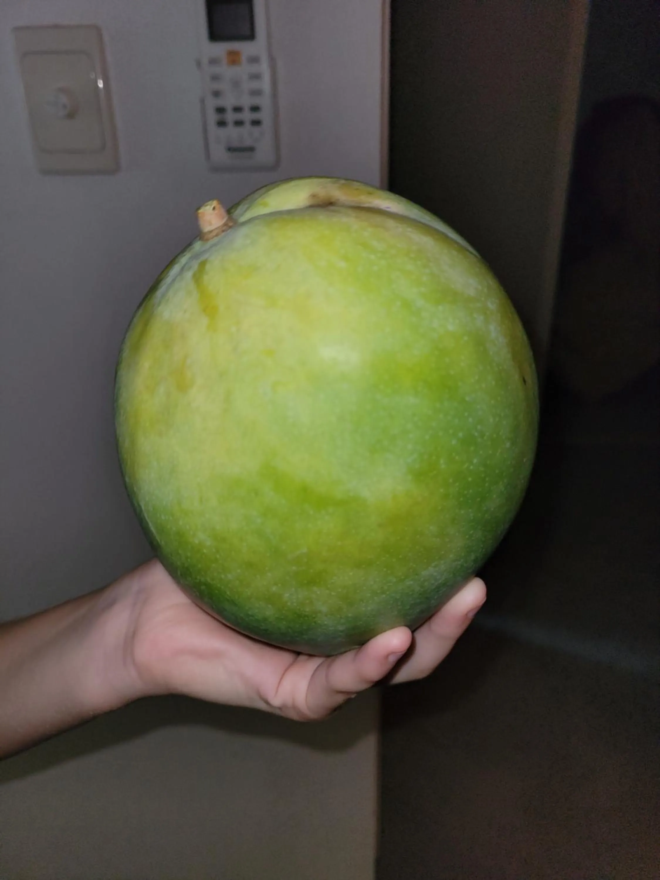 Property building in Travellers Paradise