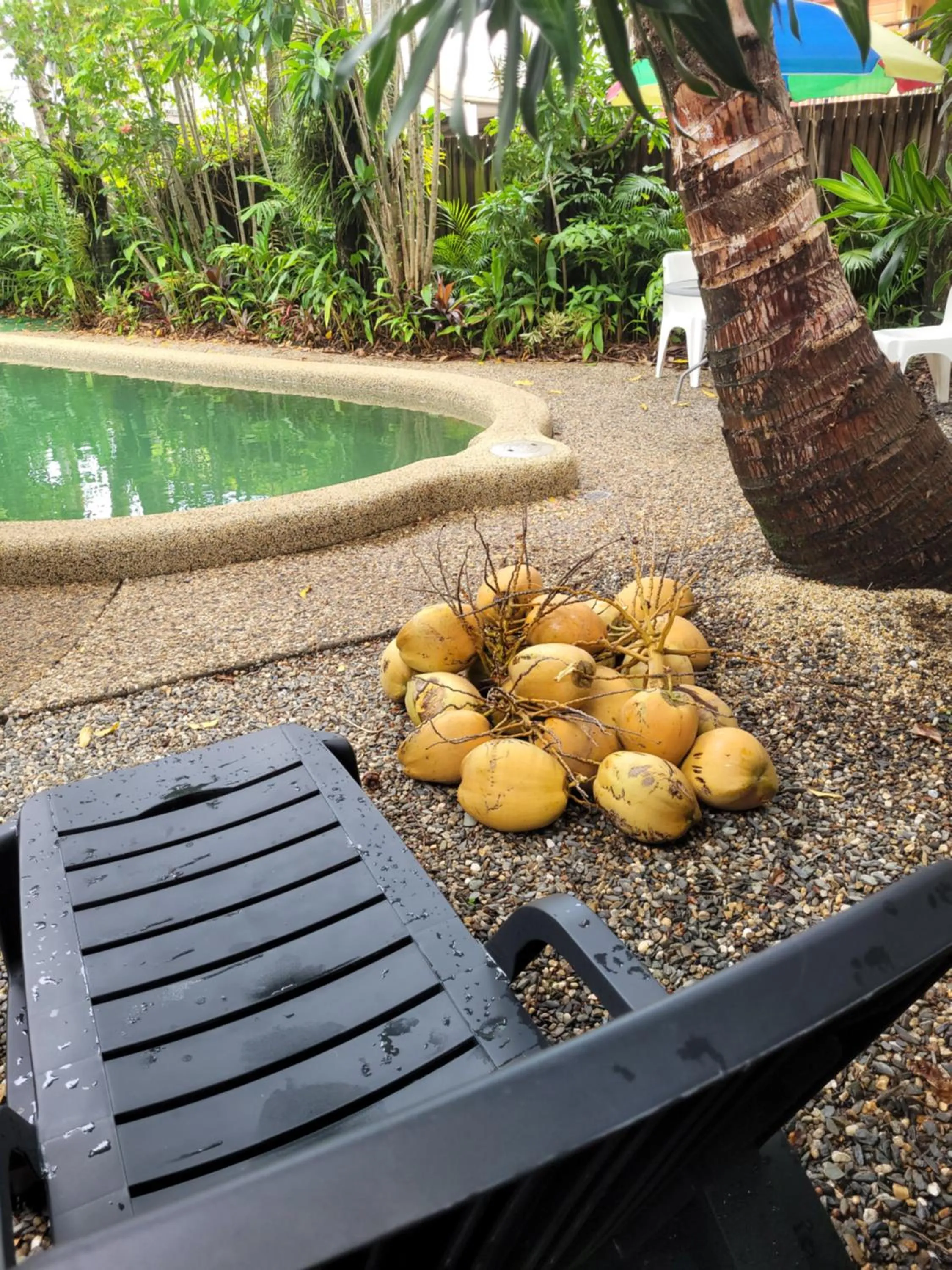 Swimming pool in Travellers Paradise