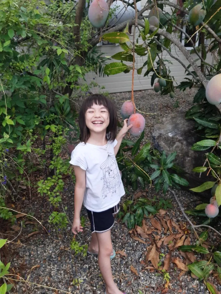 Property building in Travellers Paradise