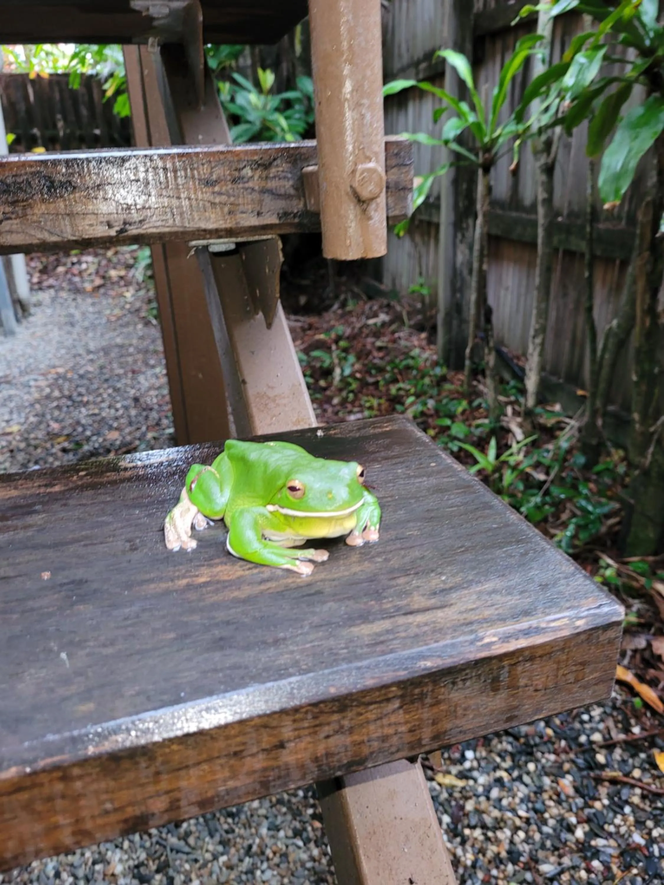 Property building in Travellers Paradise