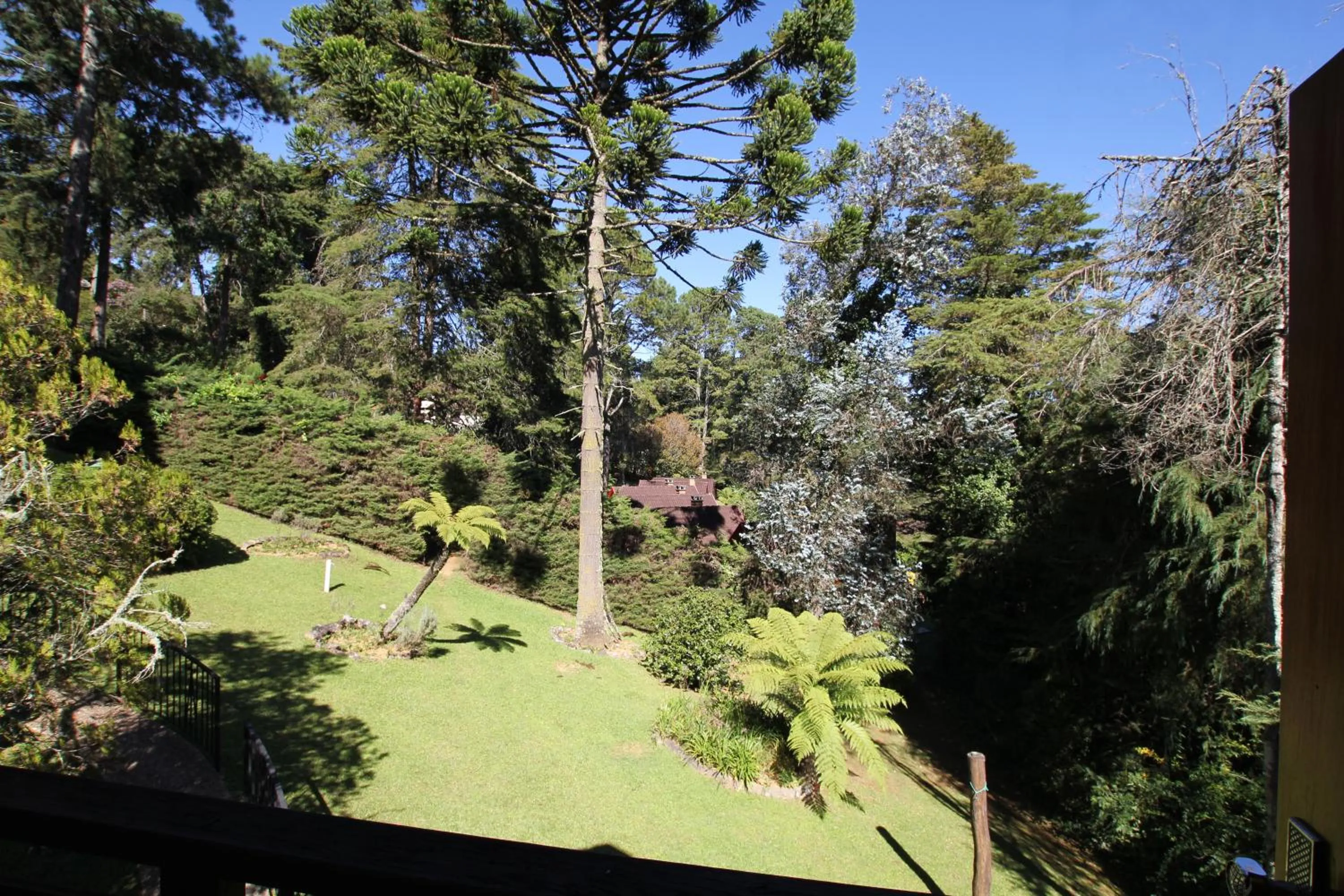 Day in Pousada Aguia da Montanha