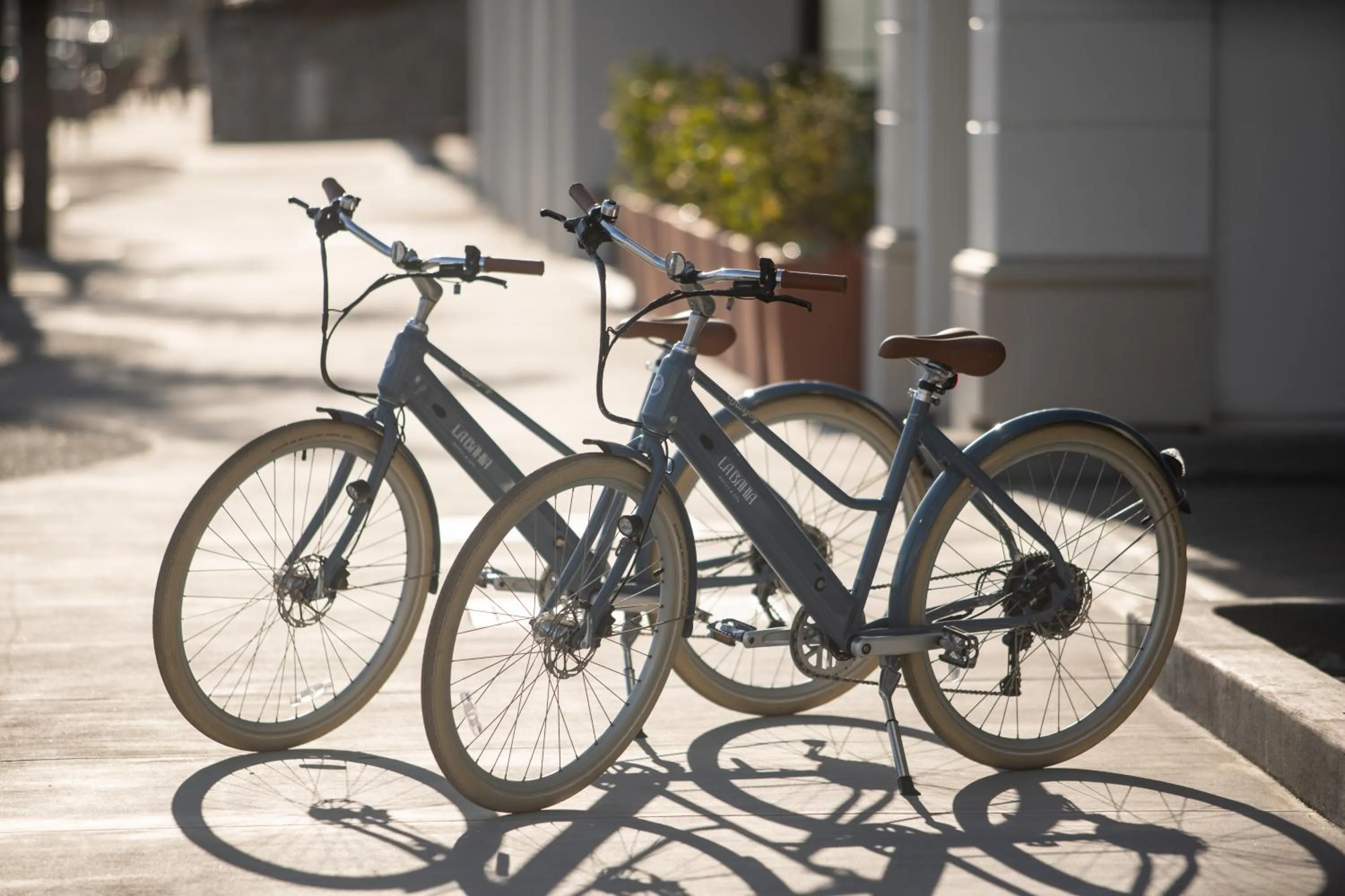 Entertainment in La Bahia Hotel & Spa