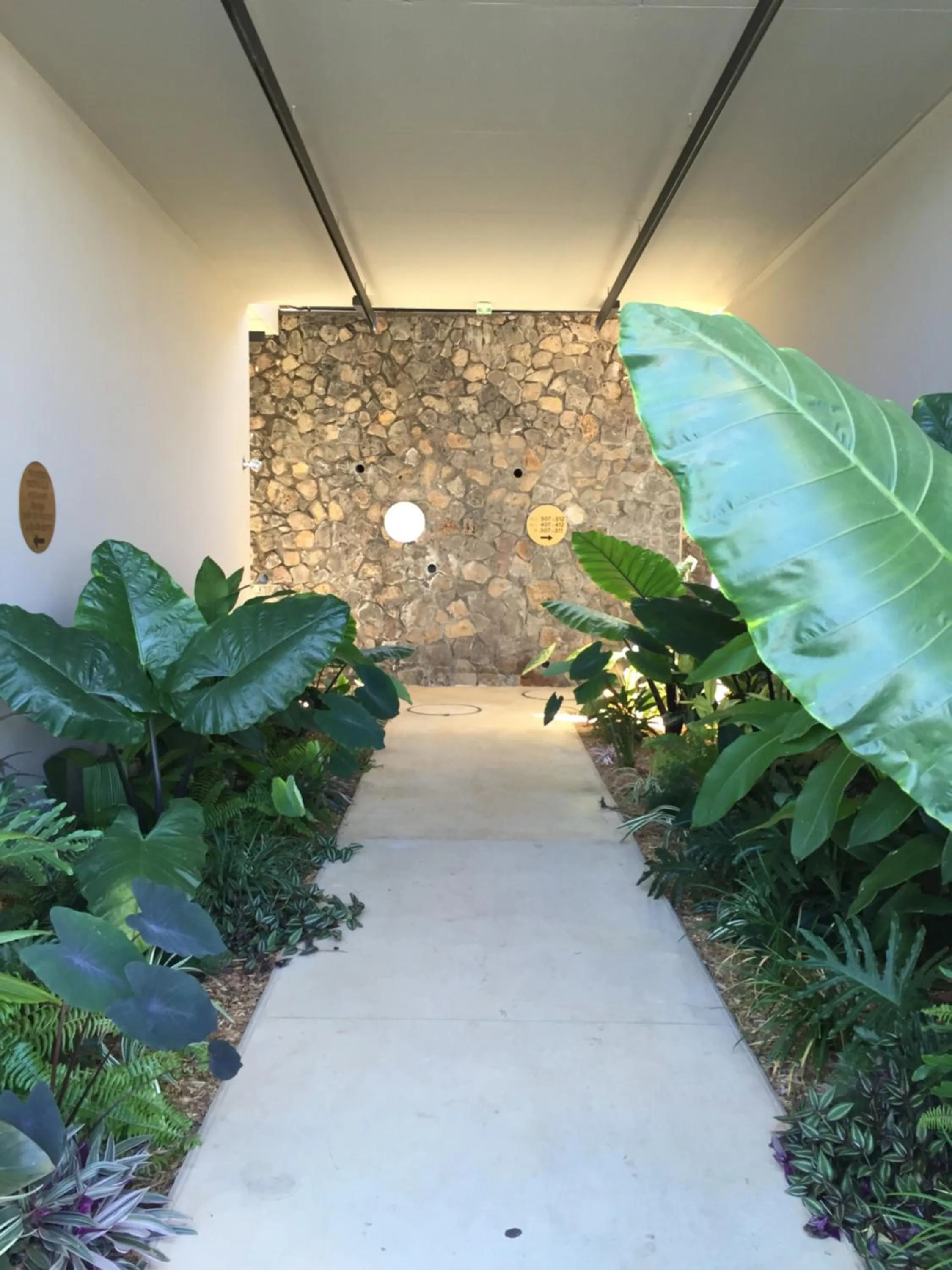 Garden in Dina Morgabine Saint Gilles