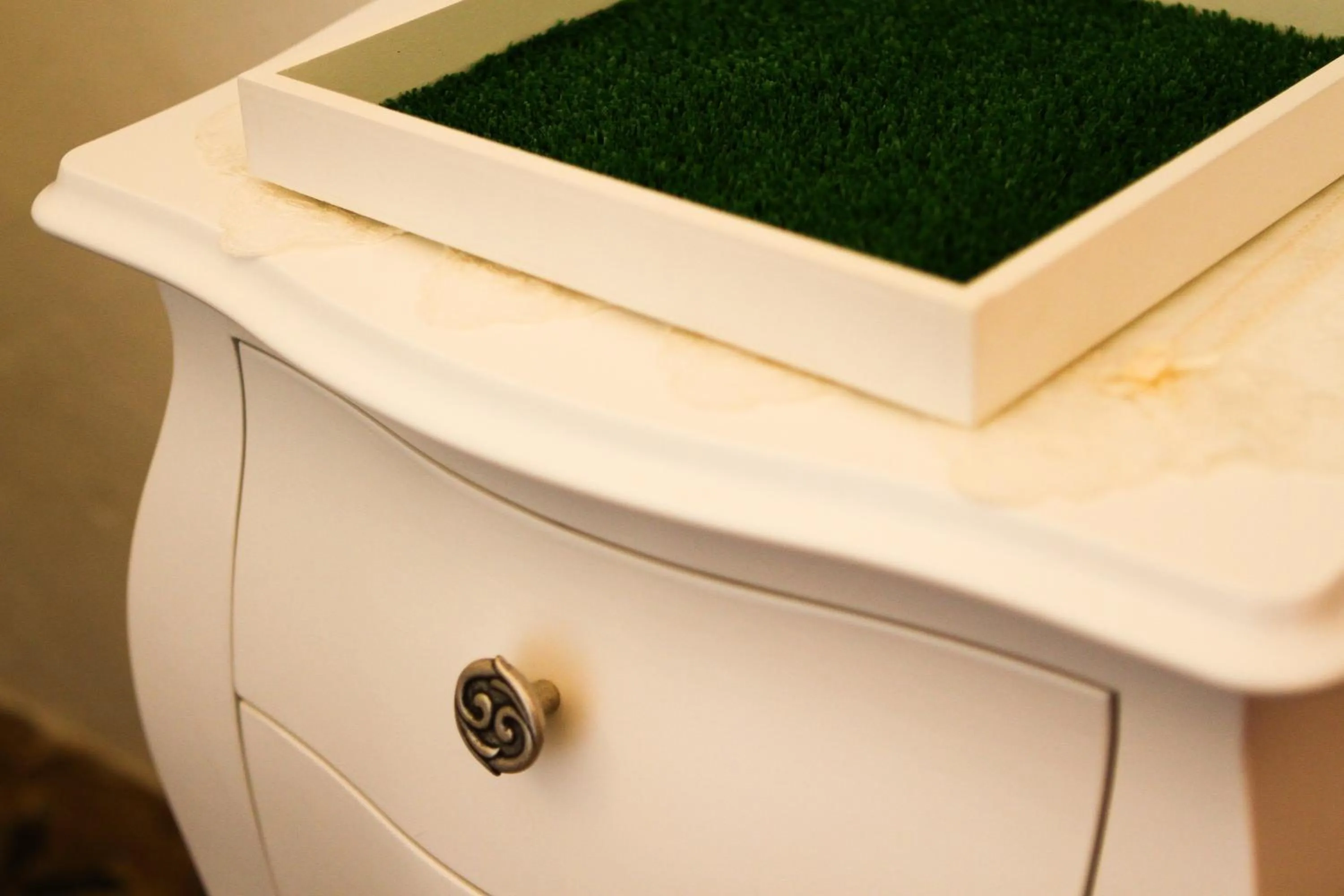 Decorative detail in Corte Trullo Sovrano B&B