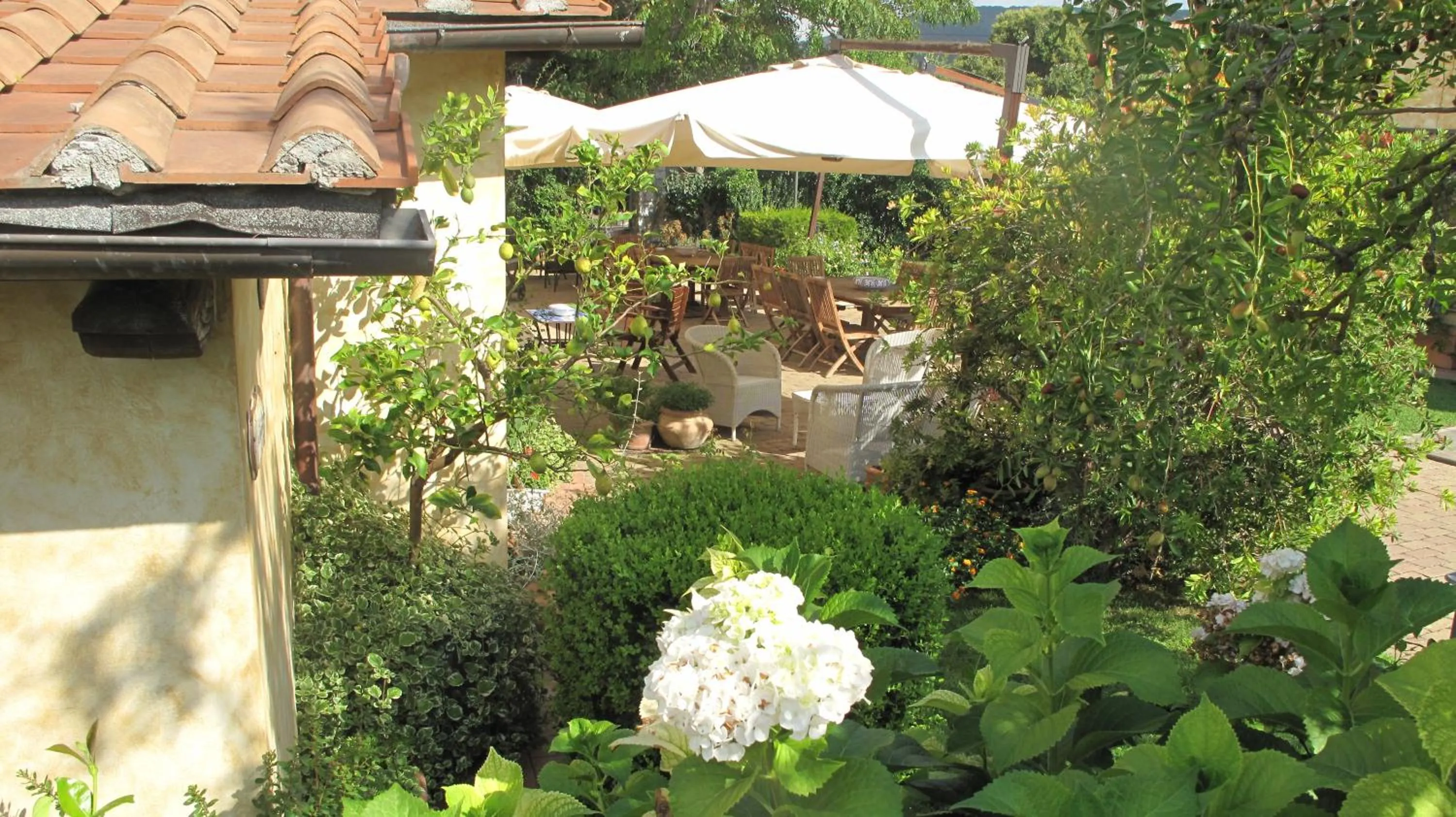 Garden in Podere Turicchio