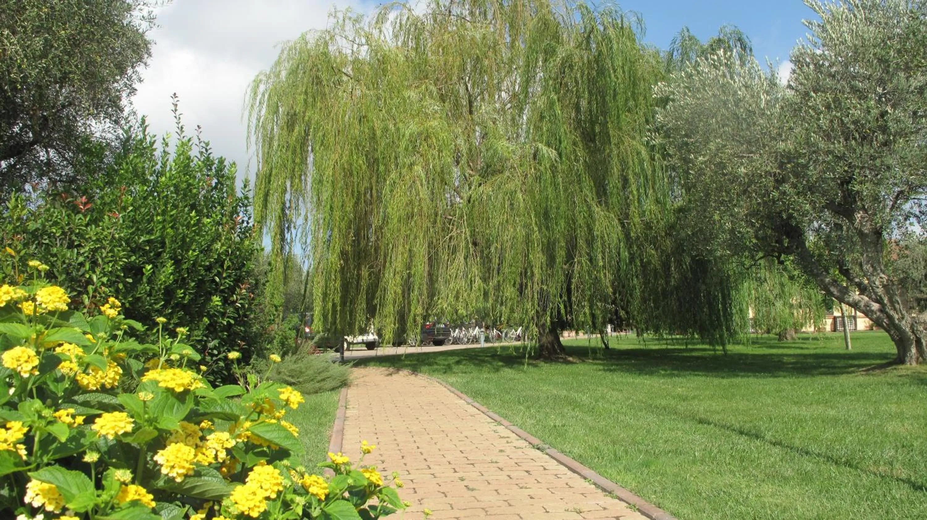 Garden in Podere Turicchio