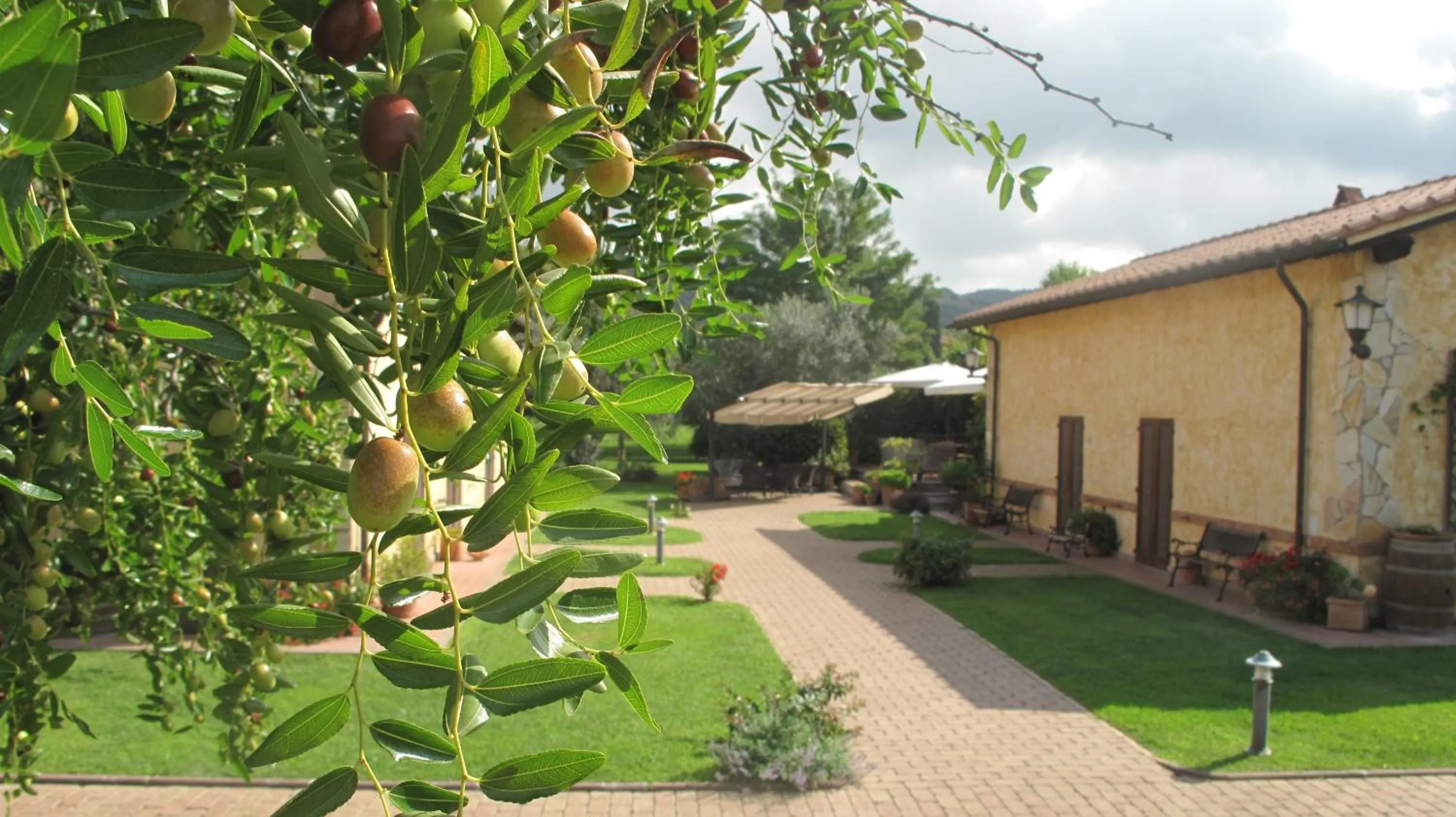 Garden in Podere Turicchio