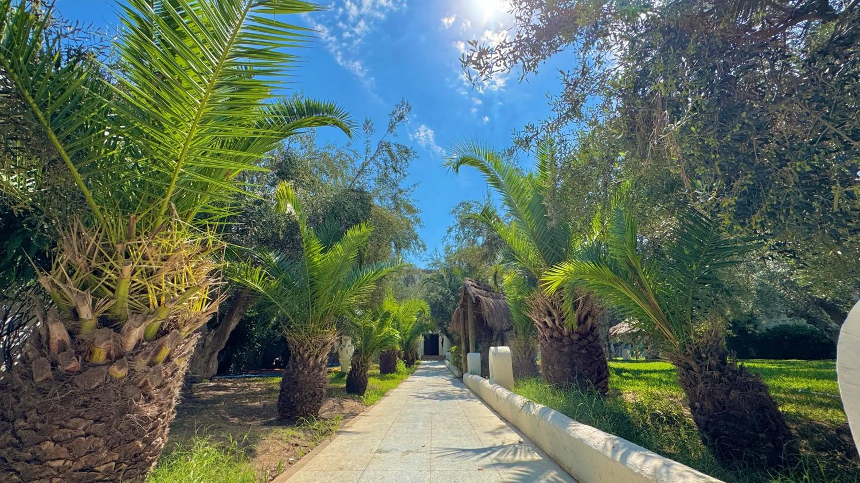 Garden in Hammamet Garden Resort and Spa