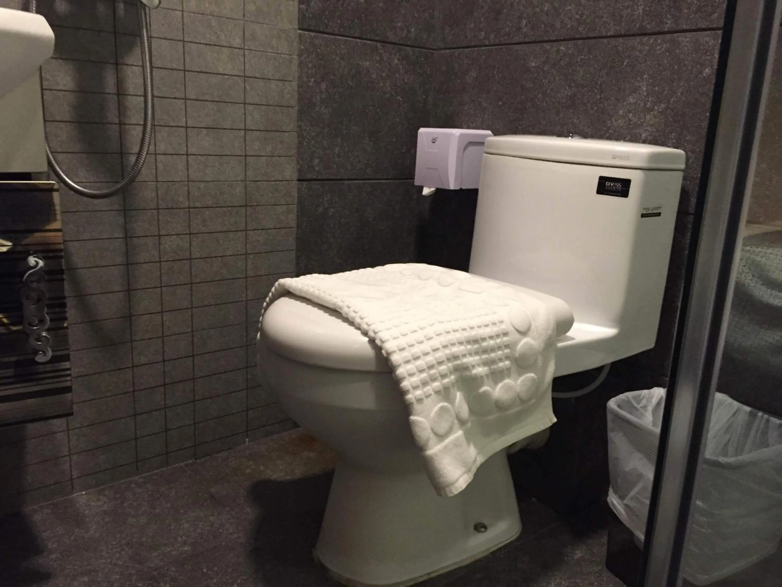 Toilet in Seasons Hotel