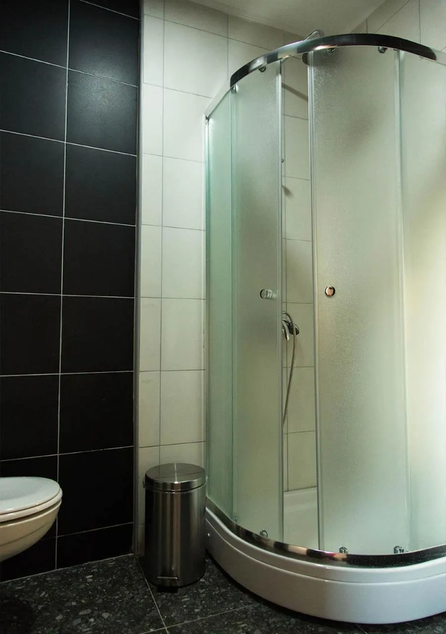 Shower in Apartmani Zrenjanin