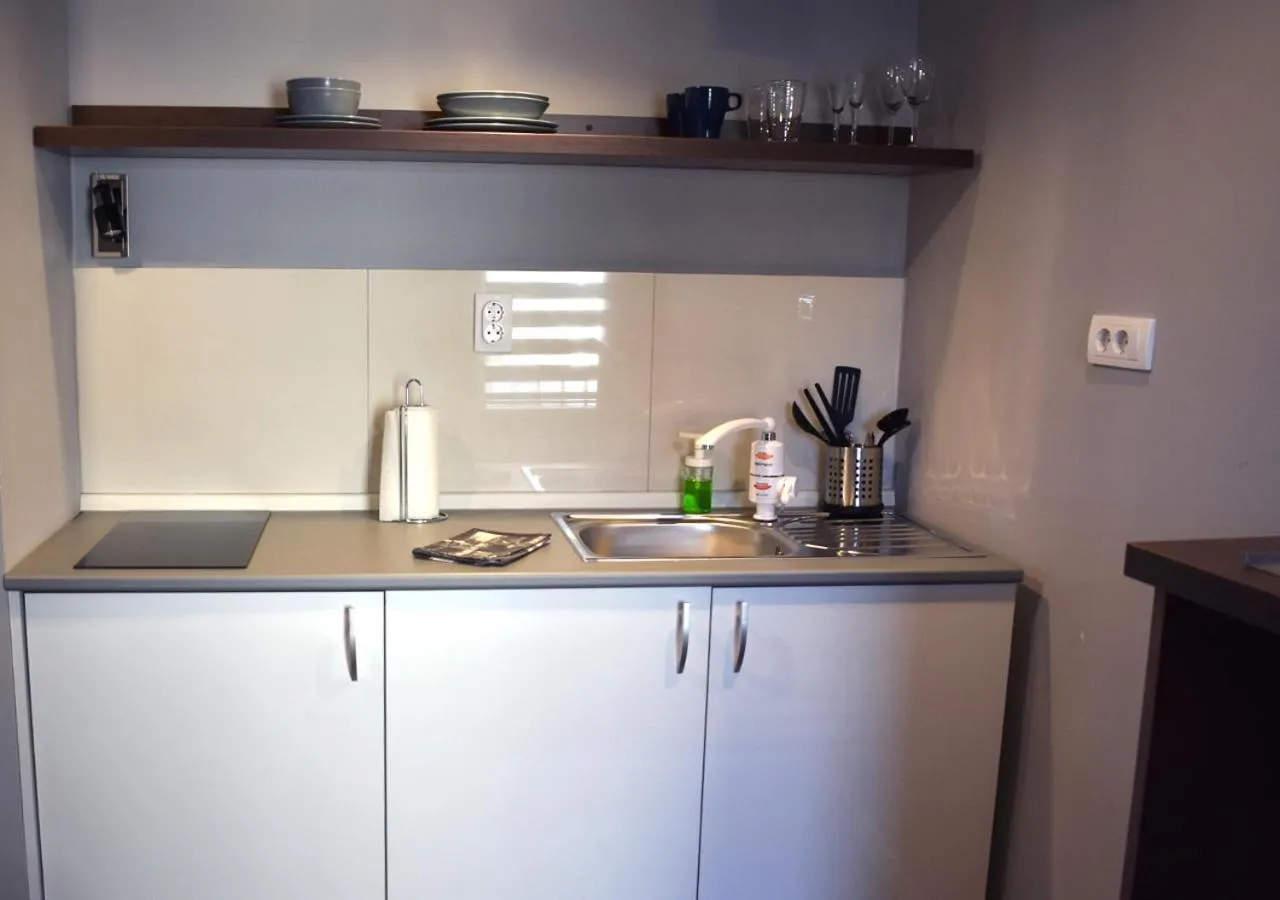 Kitchen or kitchenette in Apartmani Zrenjanin