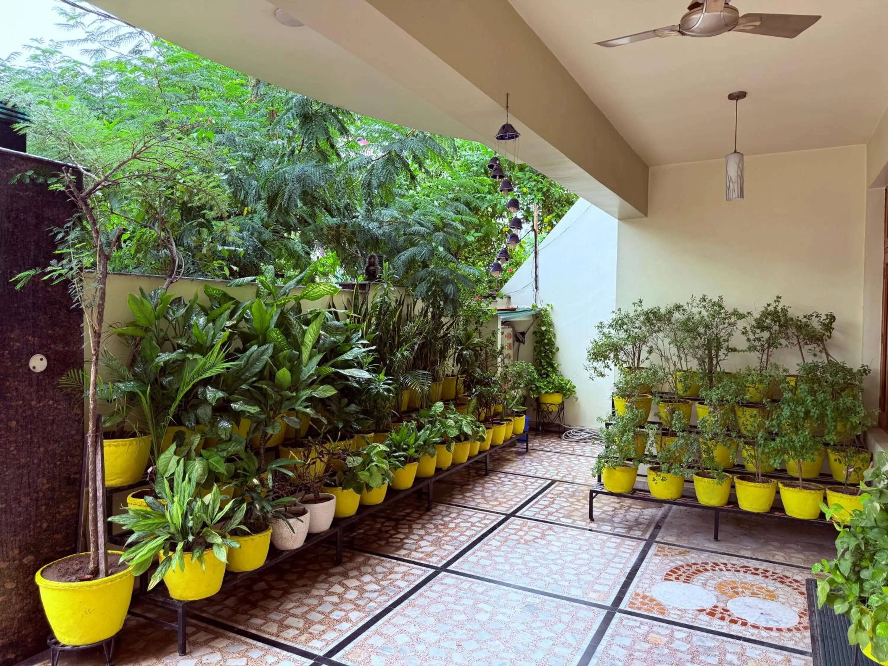 Spring in Madhuraj Villa Homestay