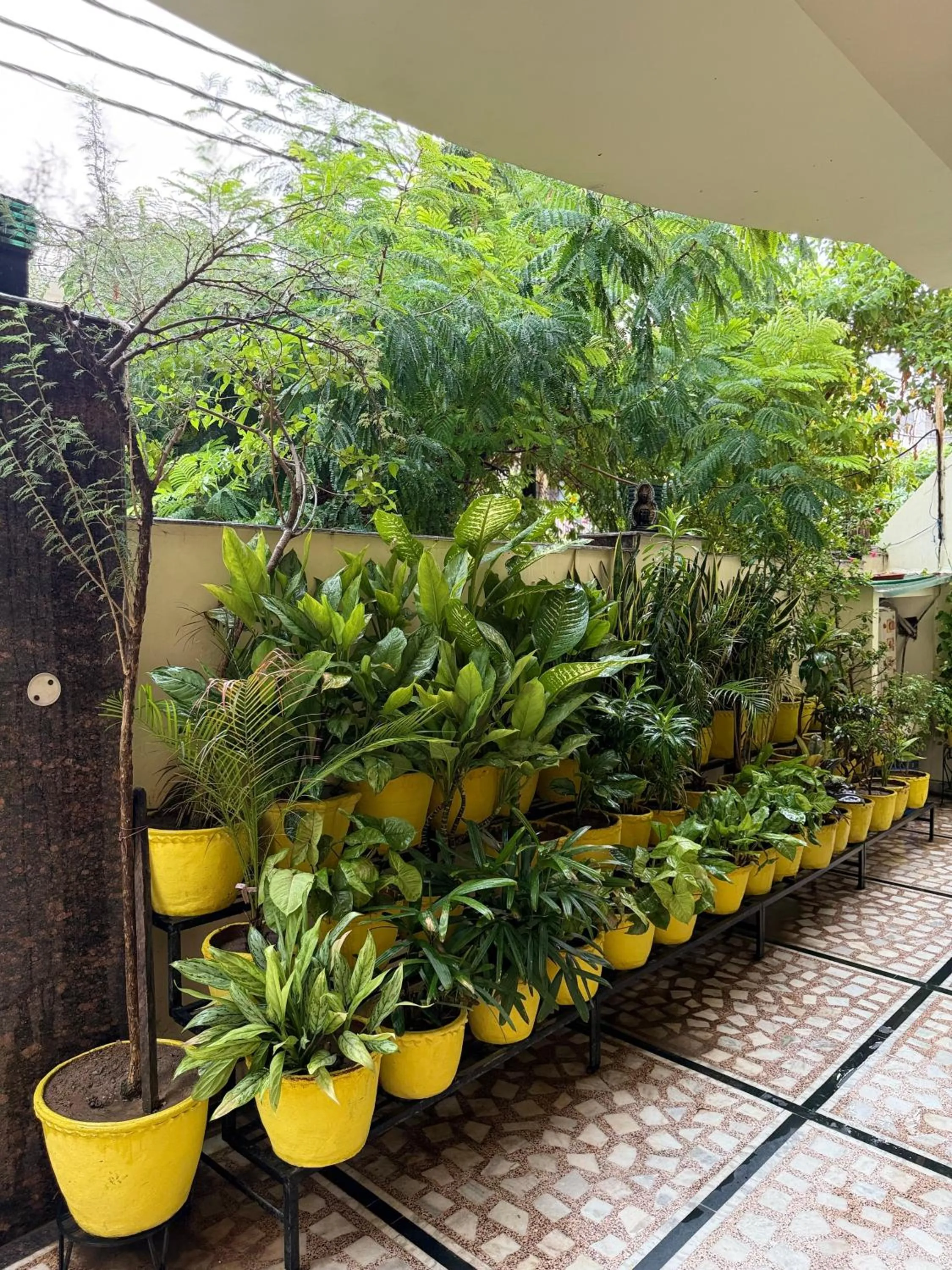 Spring in Madhuraj Villa Homestay