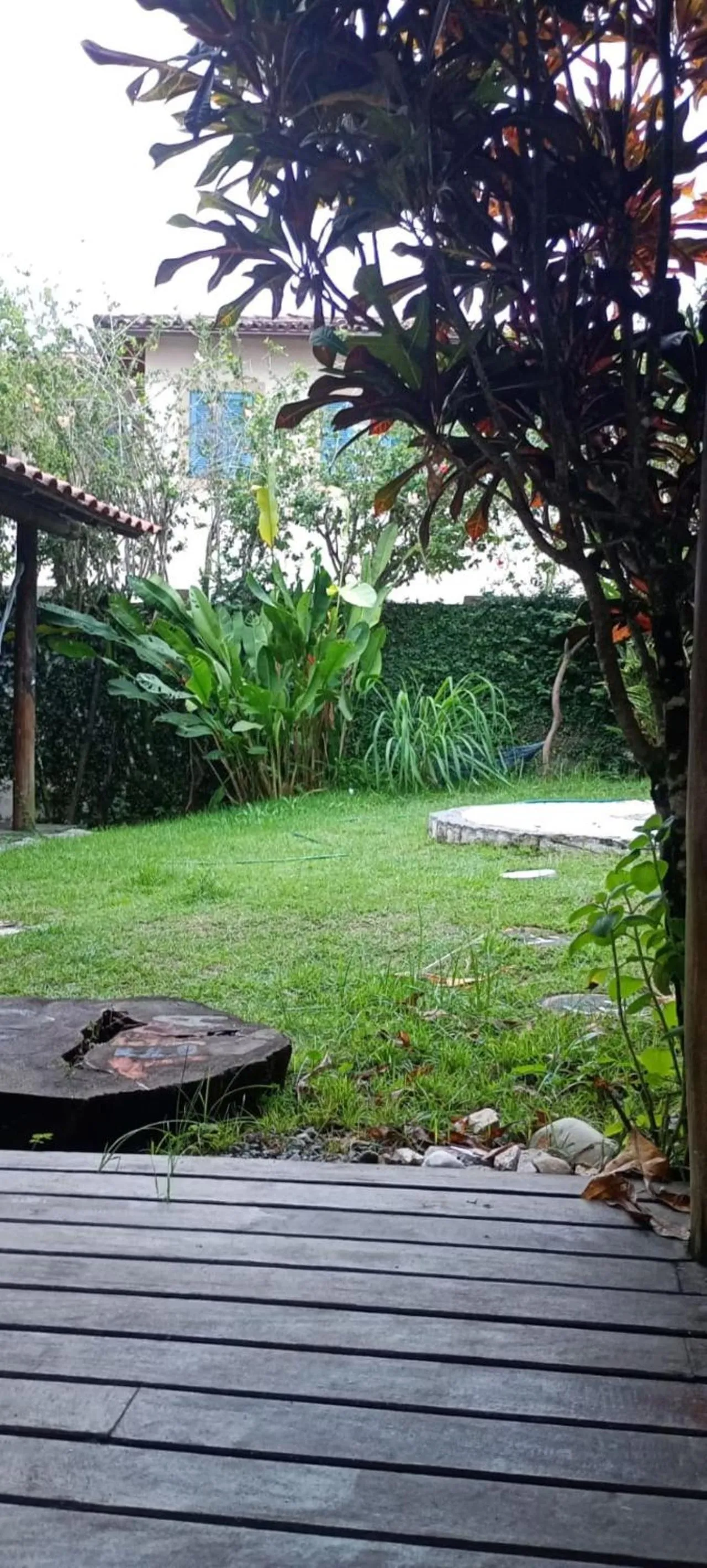 Garden view in Pousada Cavallitos d'Amar