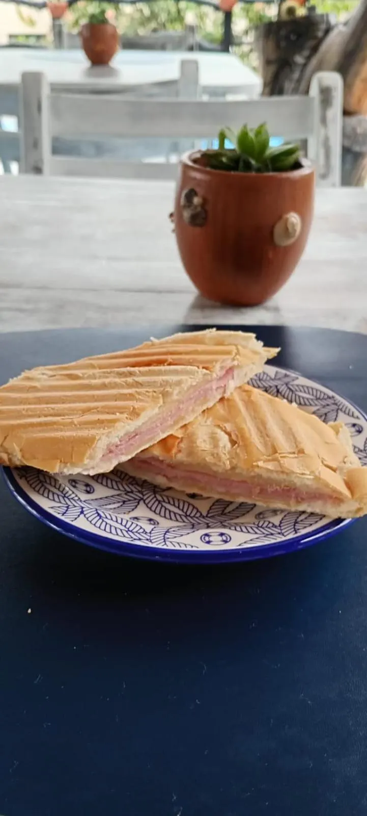 Food and drinks in Pousada Cavallitos d'Amar