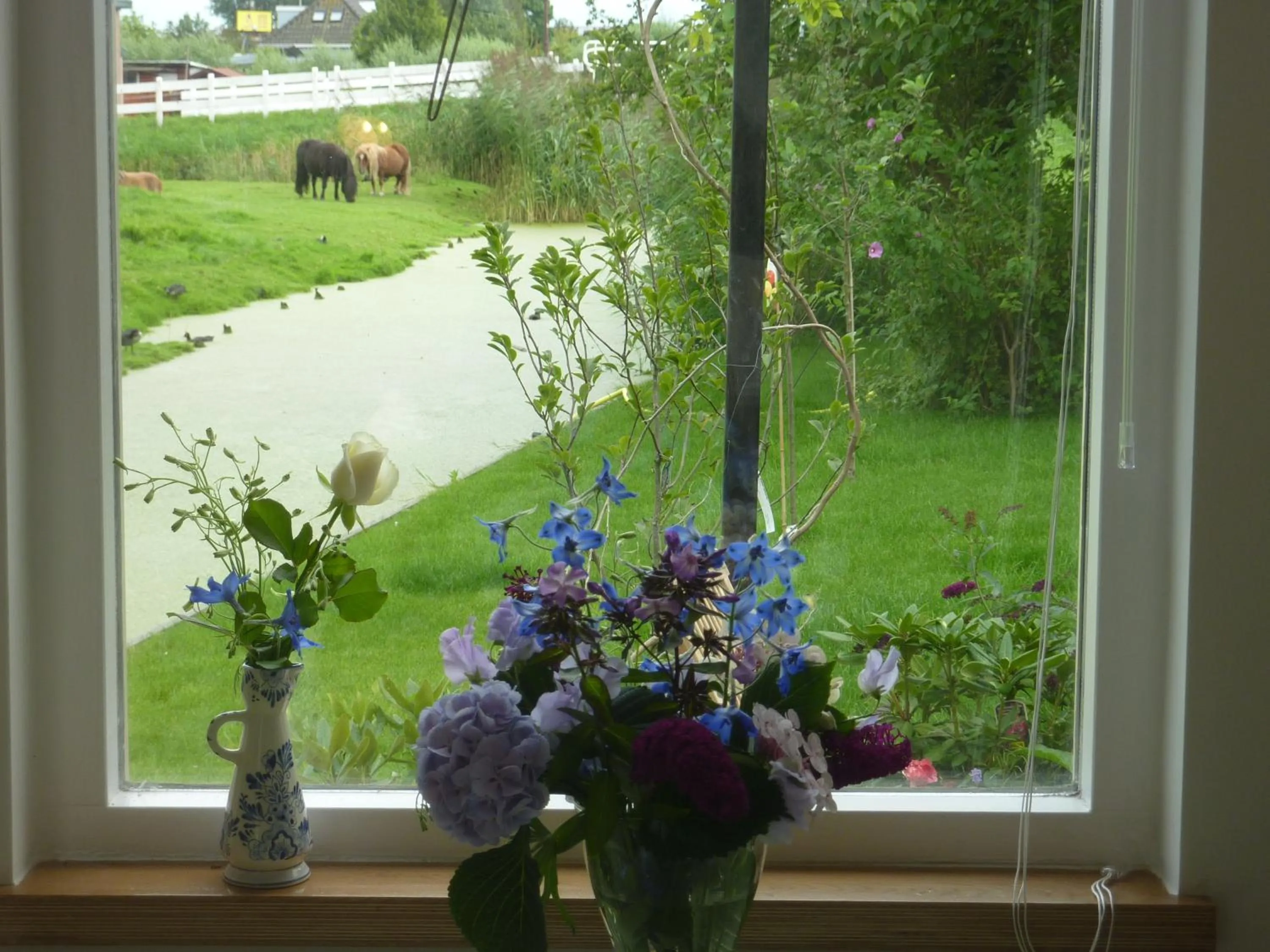 Garden view in B&B BLoom