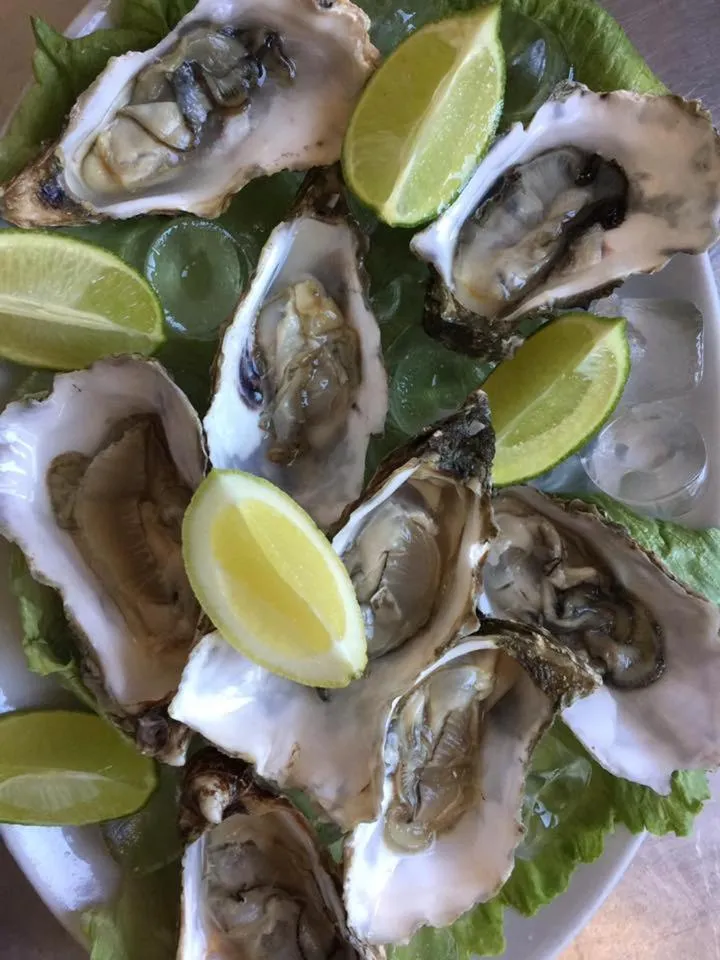 Restaurant/places to eat in Hotel Lido