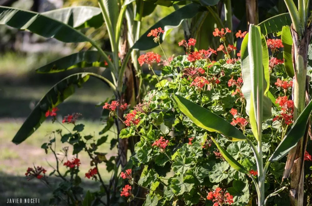 Bungalows Punta Colorada