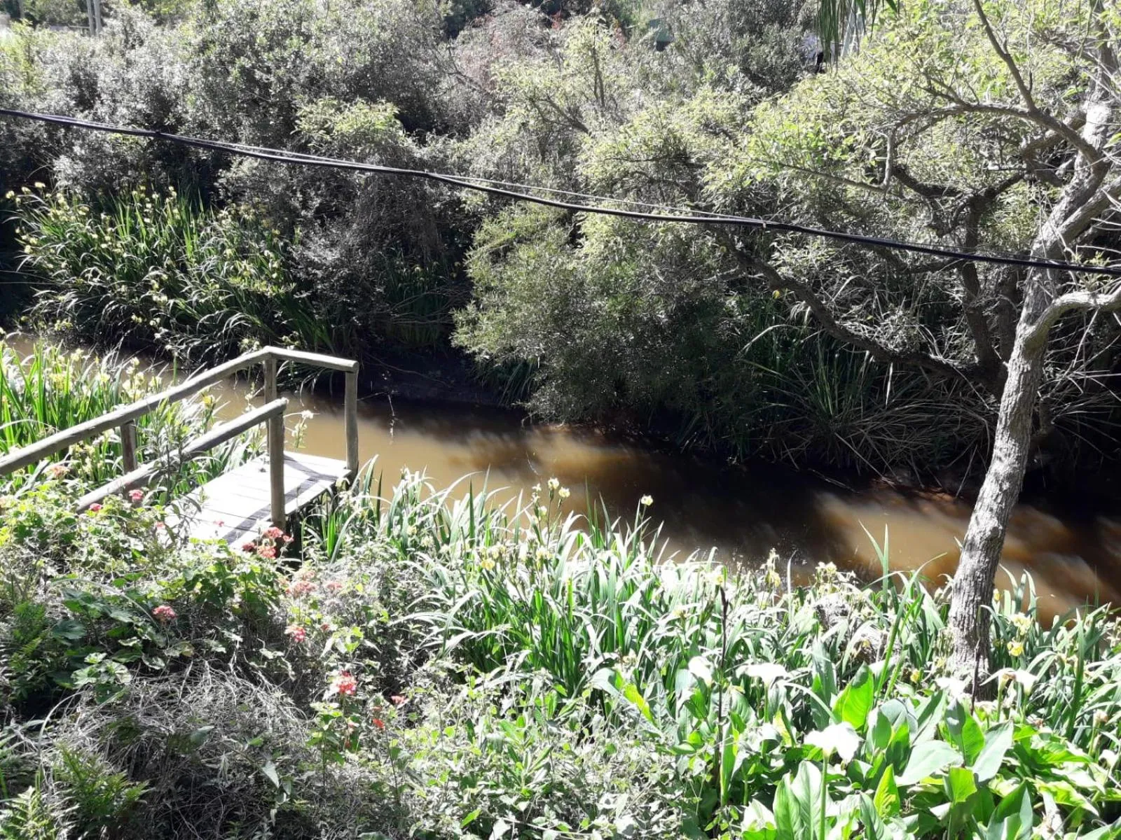 Bungalows Punta Colorada