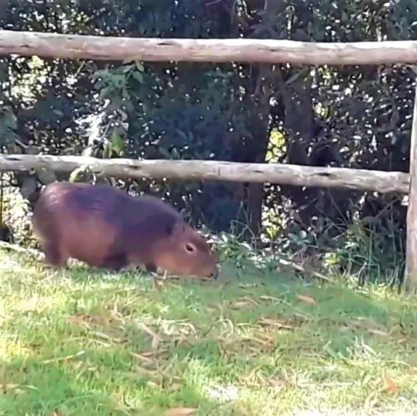 Bungalows Punta Colorada