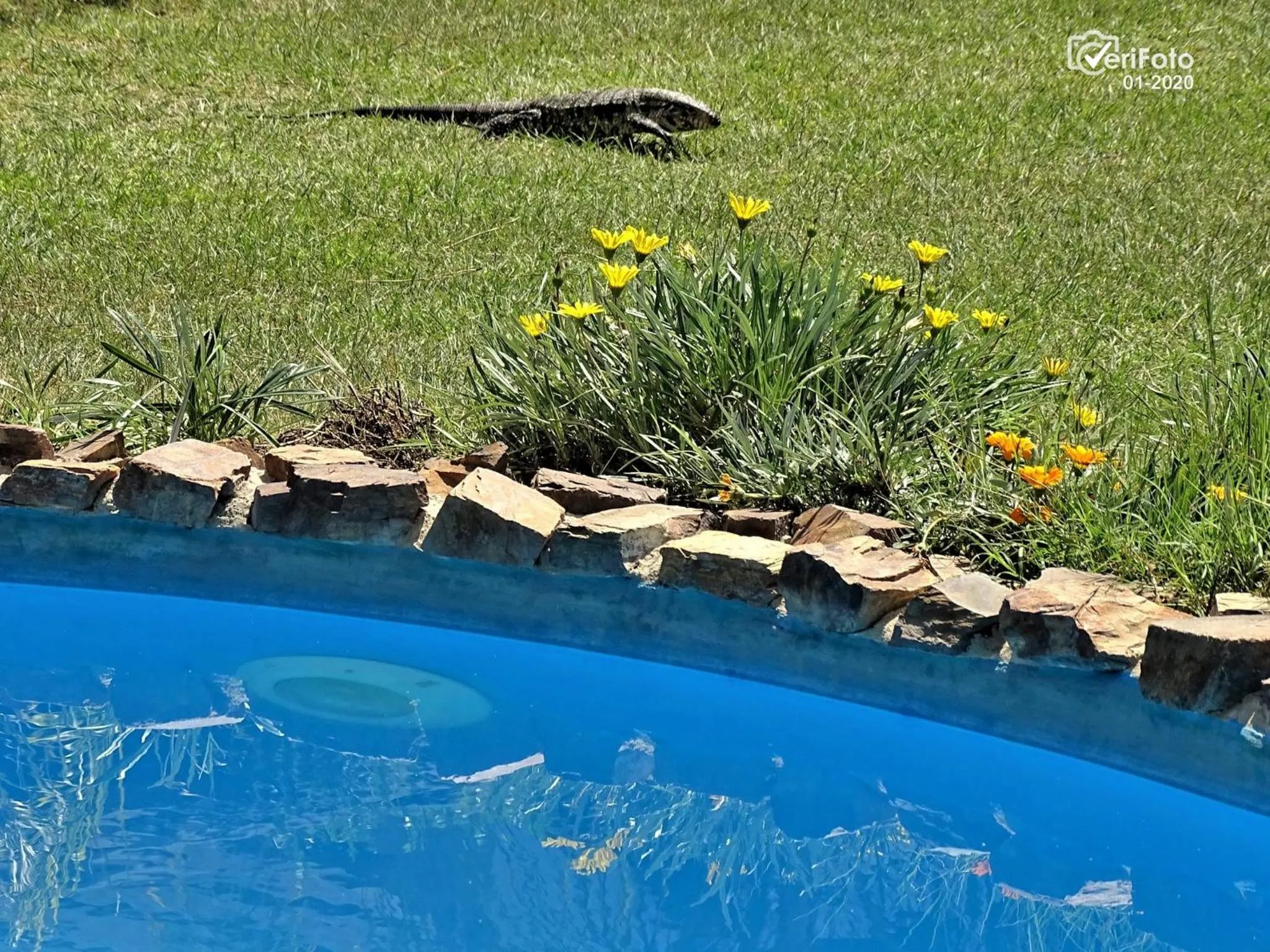 Bungalows Punta Colorada