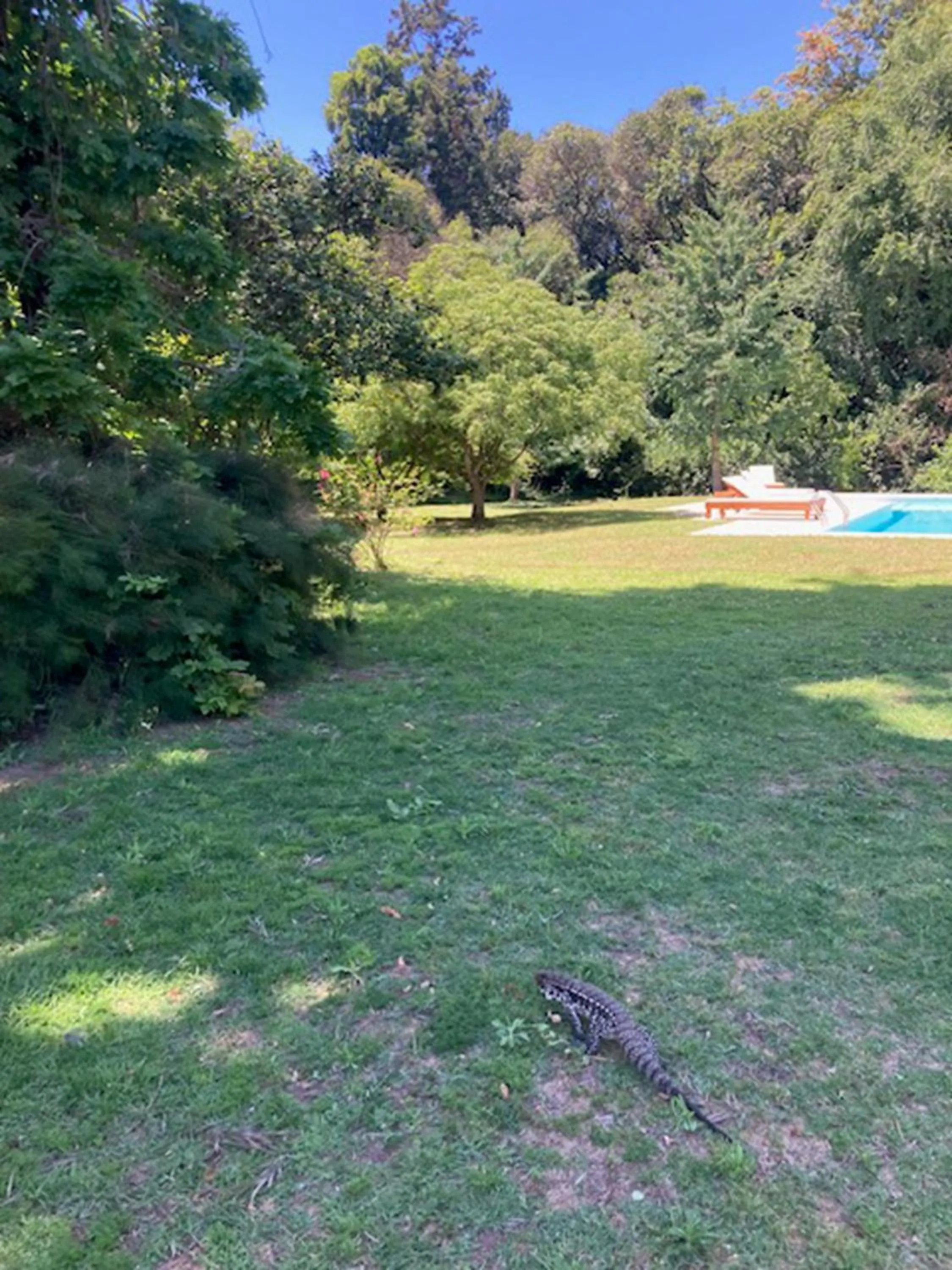 Spring in Estancia Villa Maria