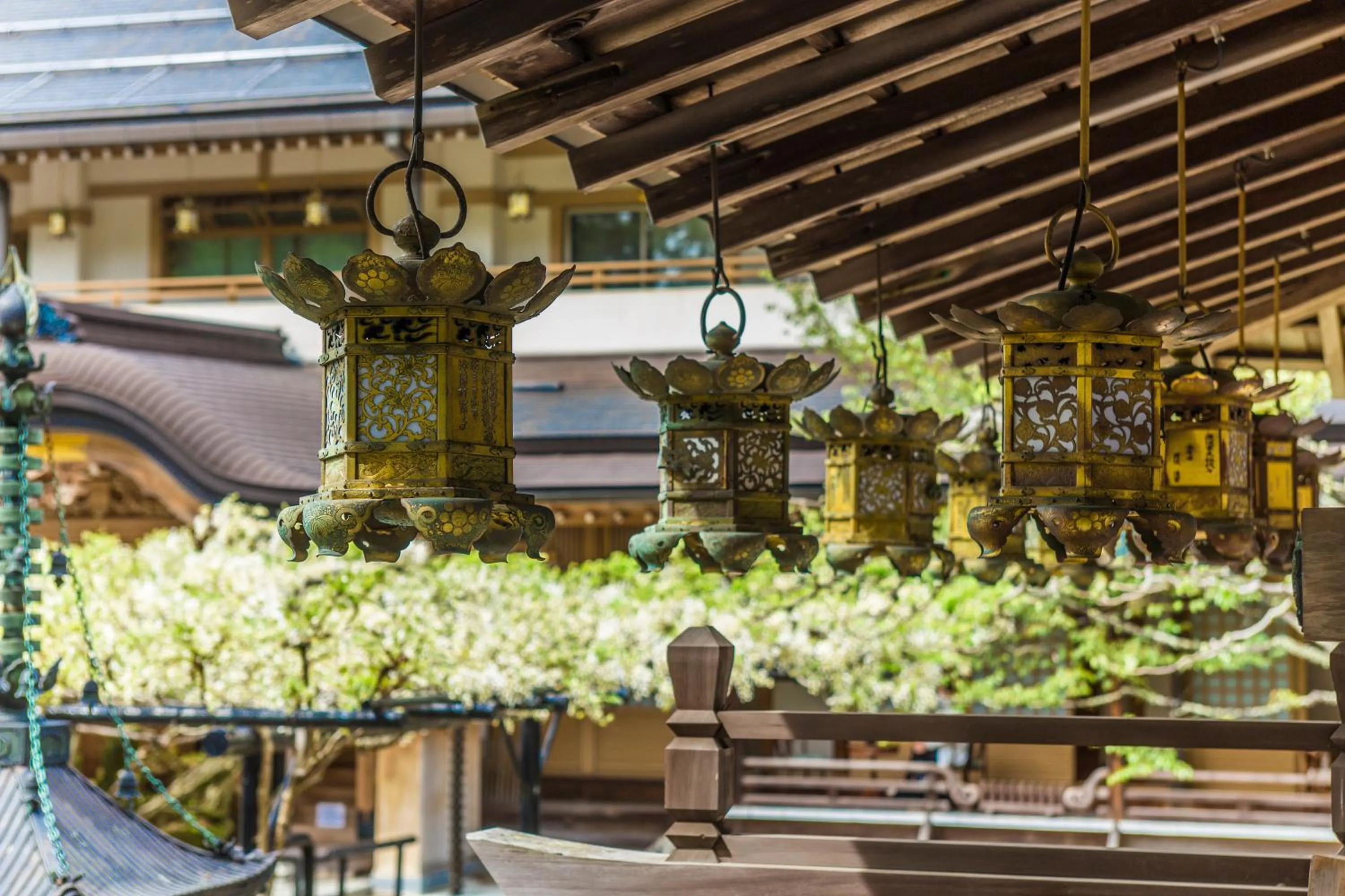 Day in 高野山 宿坊 総持院 -Koyasan Shukubo Sojiin-