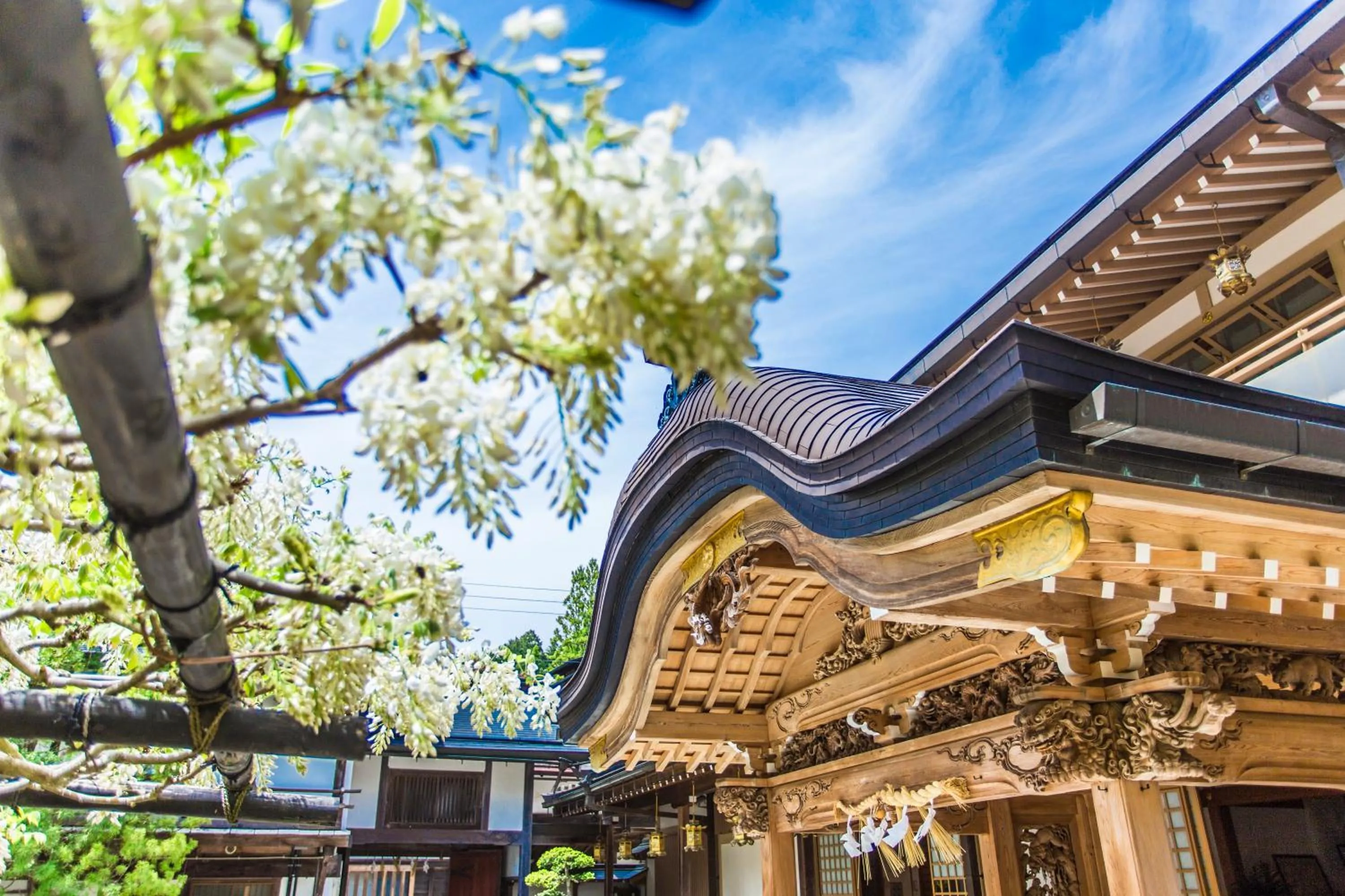 Property building in 高野山 宿坊 総持院 -Koyasan Shukubo Sojiin-