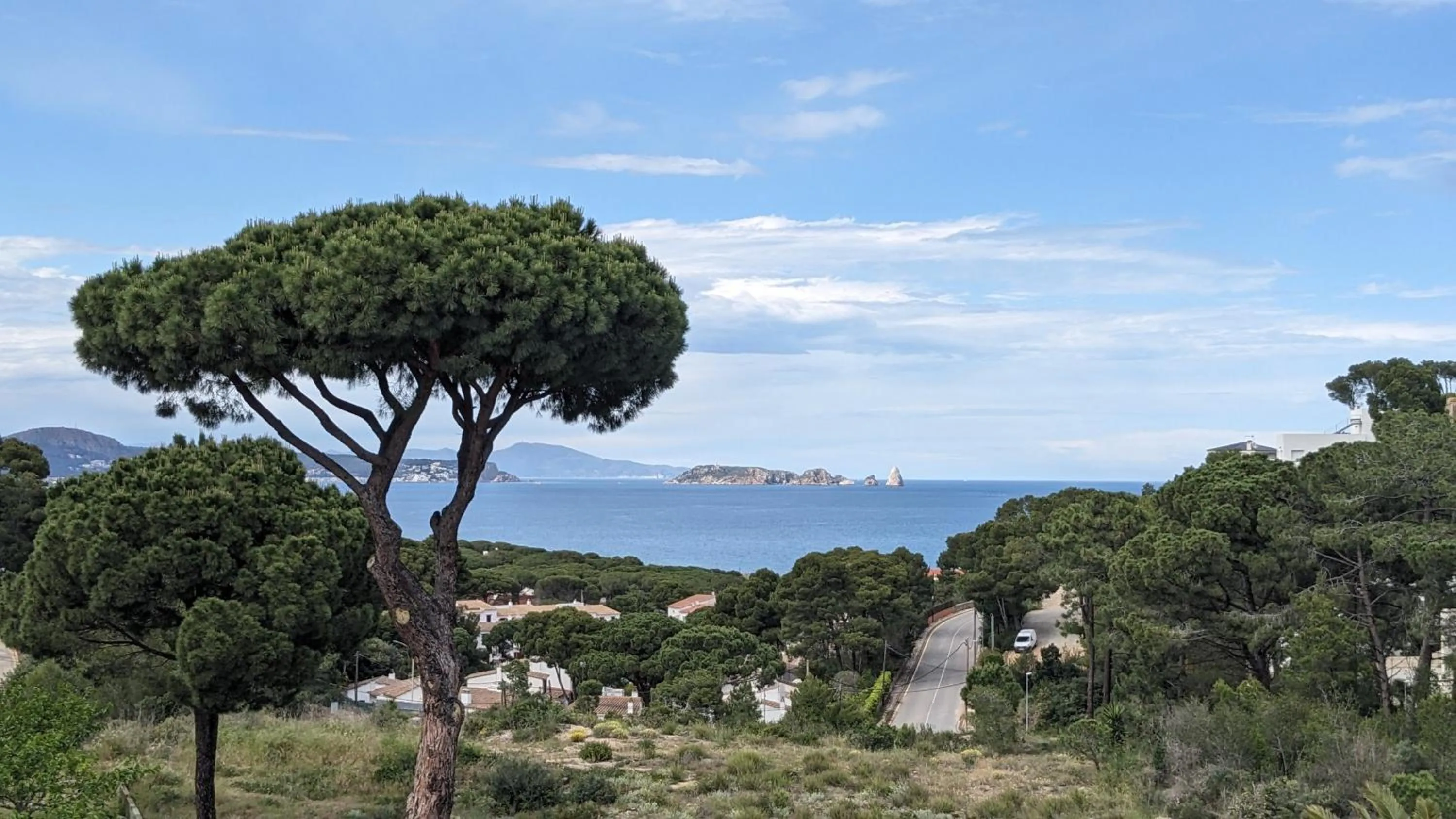 View (from property/room) in Hotel Sa Punta - Adults Only fr13