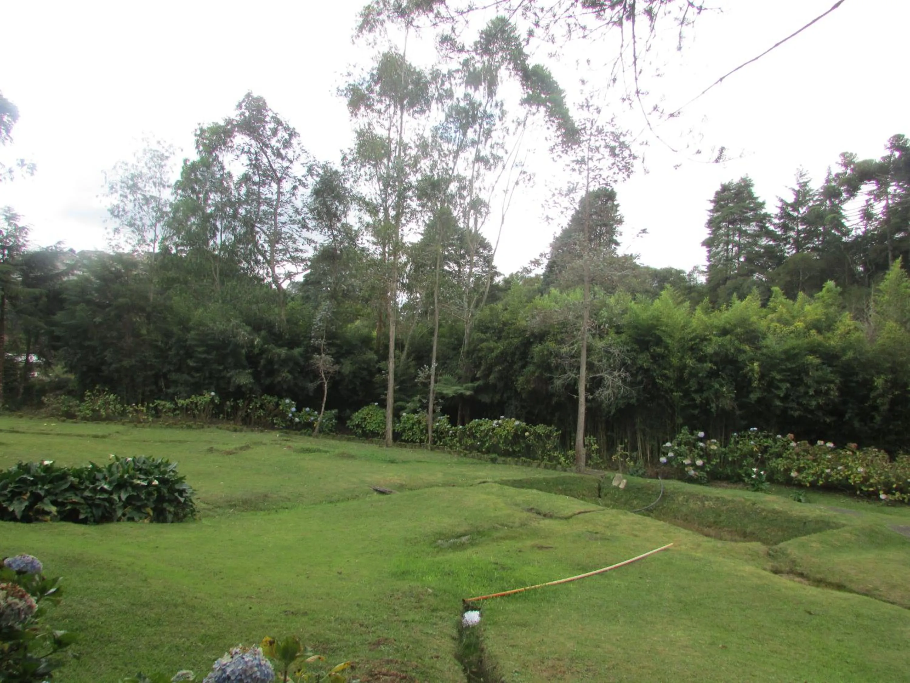 Garden view in Moinho Itália Hotel