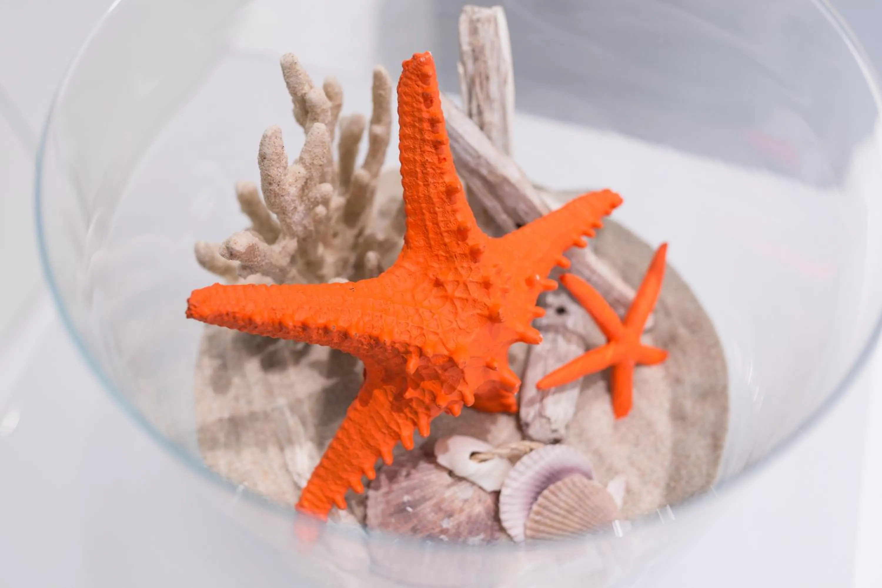 Decorative detail in Wavia Hotel - Adults only